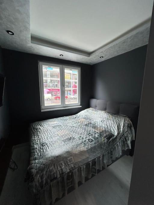 Paradise M Apartments