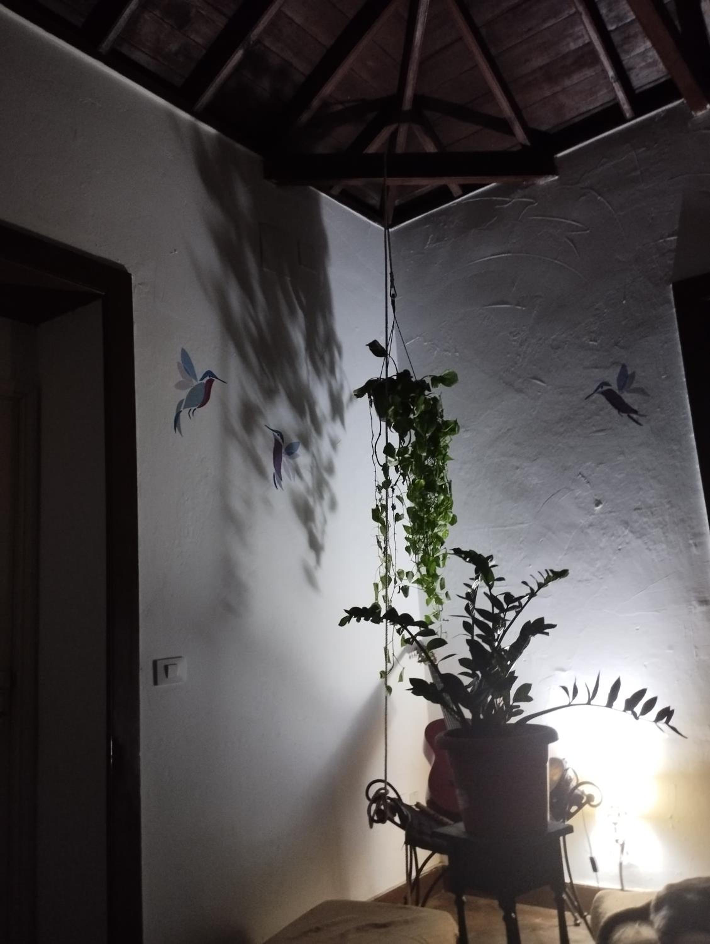 Acoran Family Guests House Firgas with Included Morning Yoga Practice ,there are pets in the house