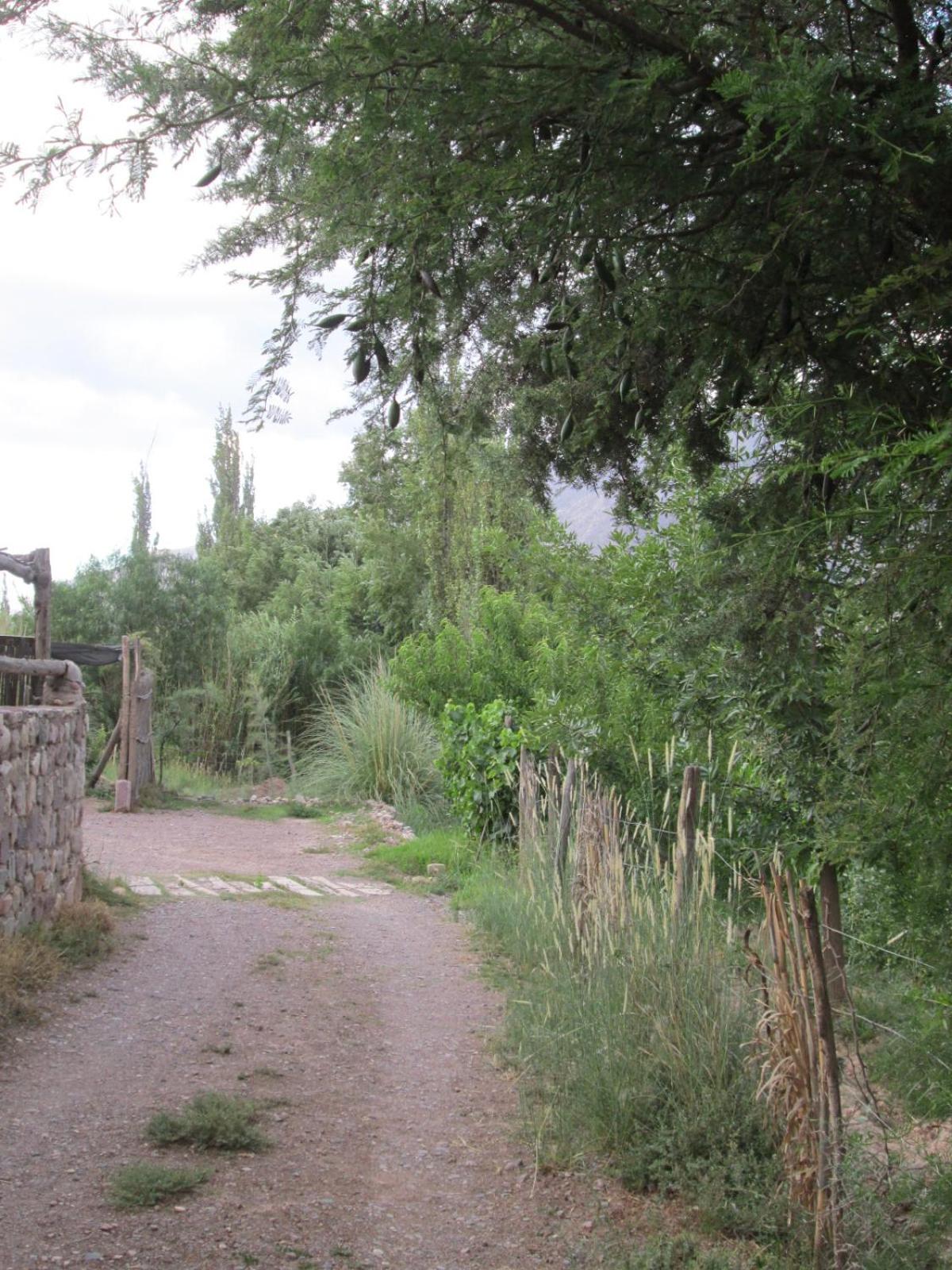 La Calabaza Cabaña