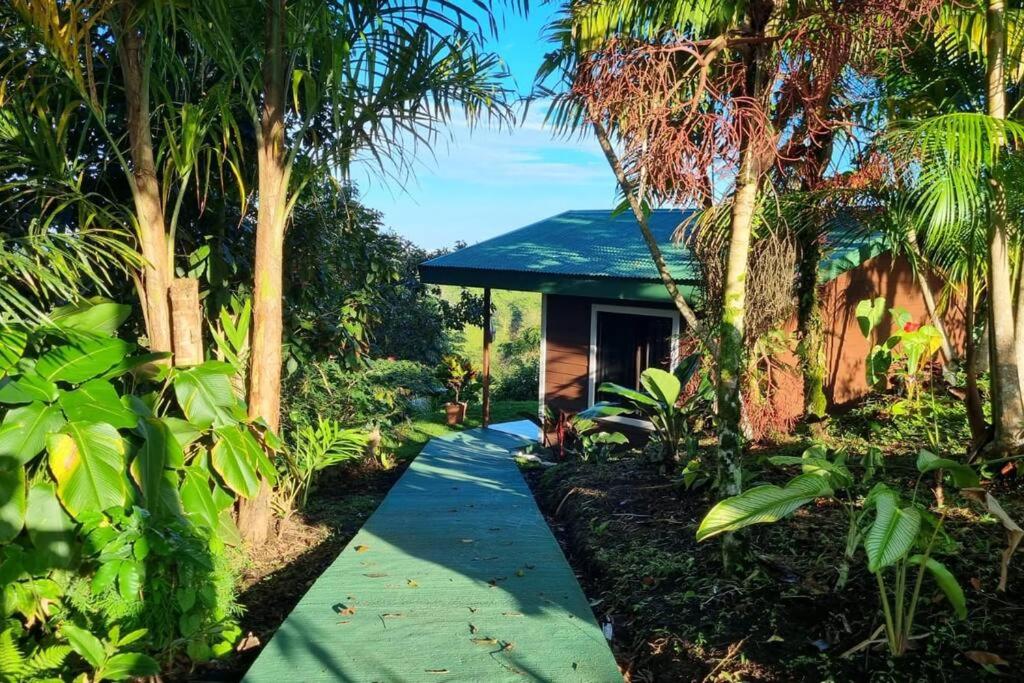 Eco Cabaña
