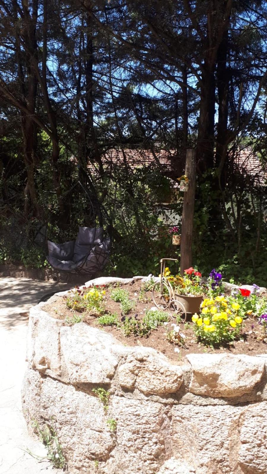 Cucu Haus Hostel