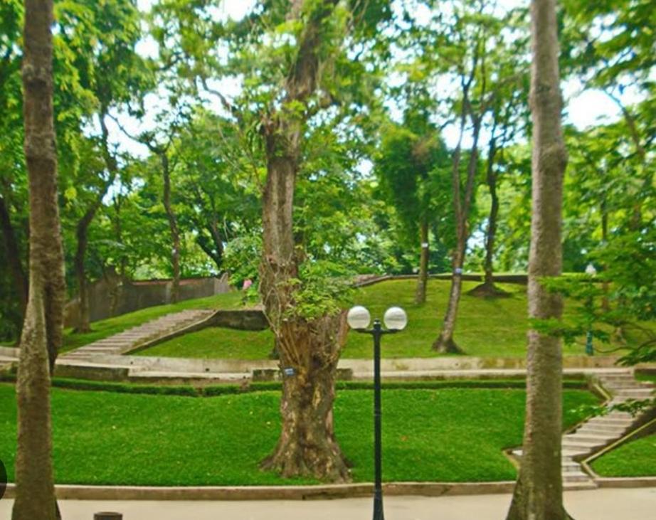Da Tree Homestay