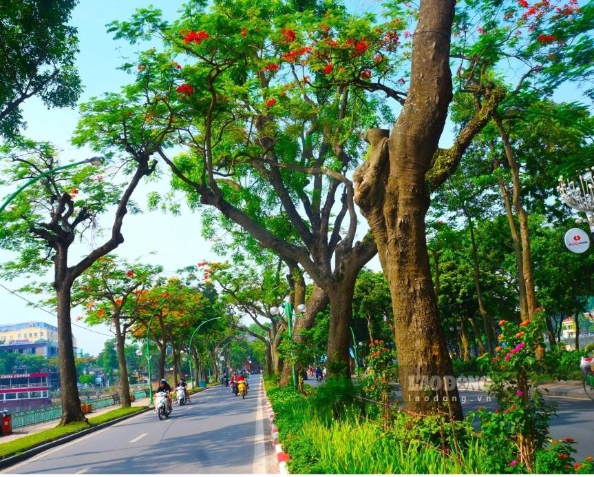 Da Tree Homestay