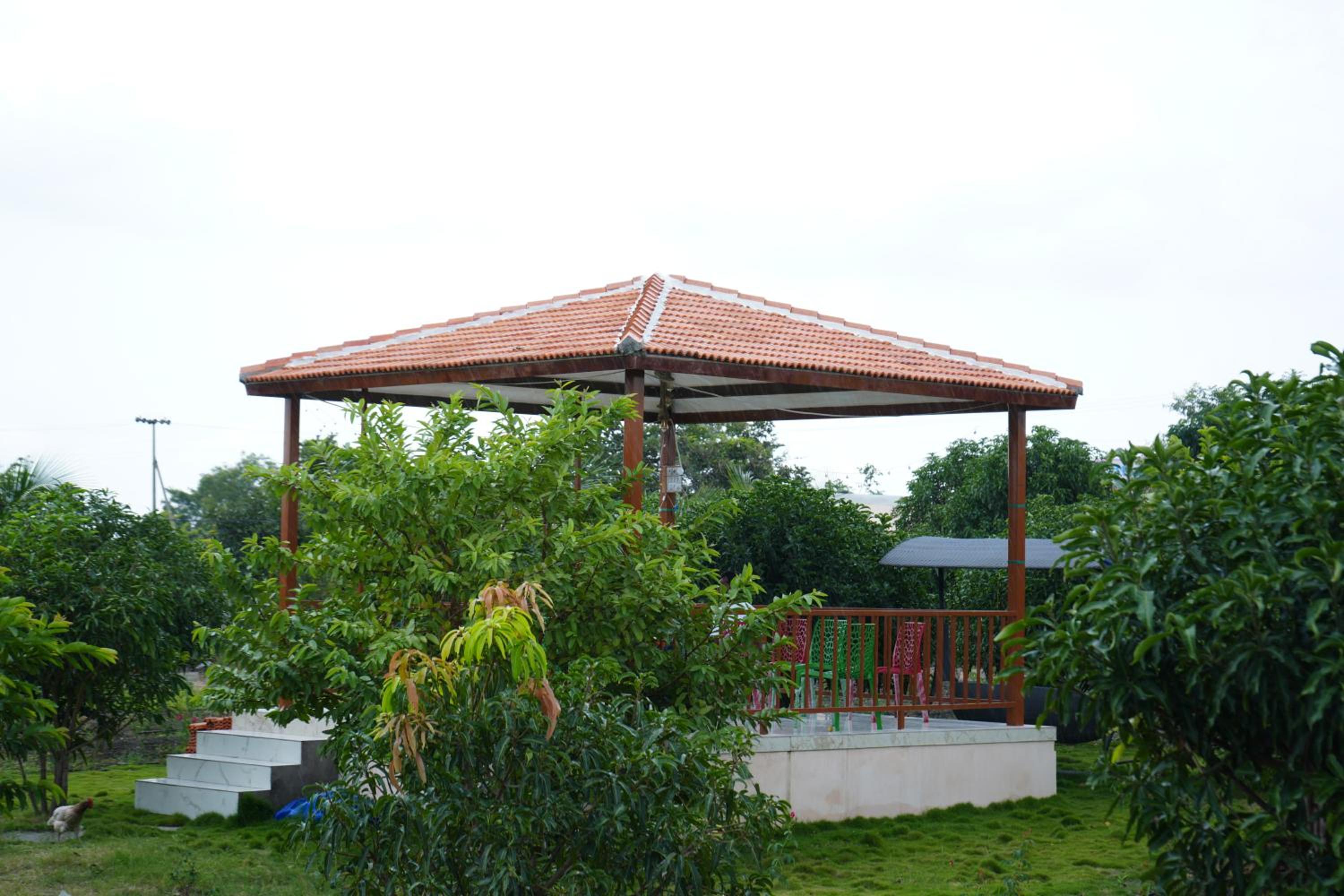 Photo 17