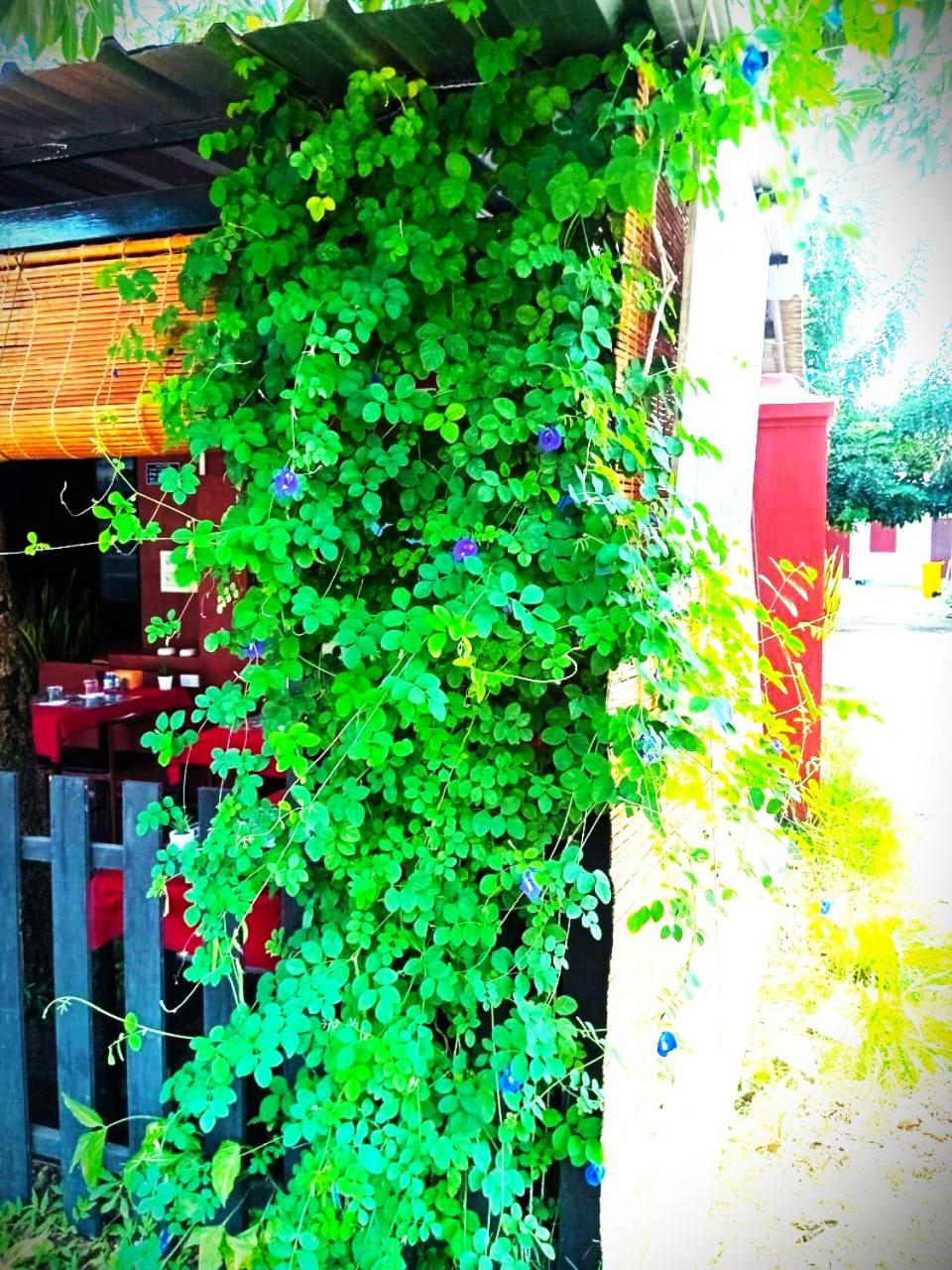 Photo 22