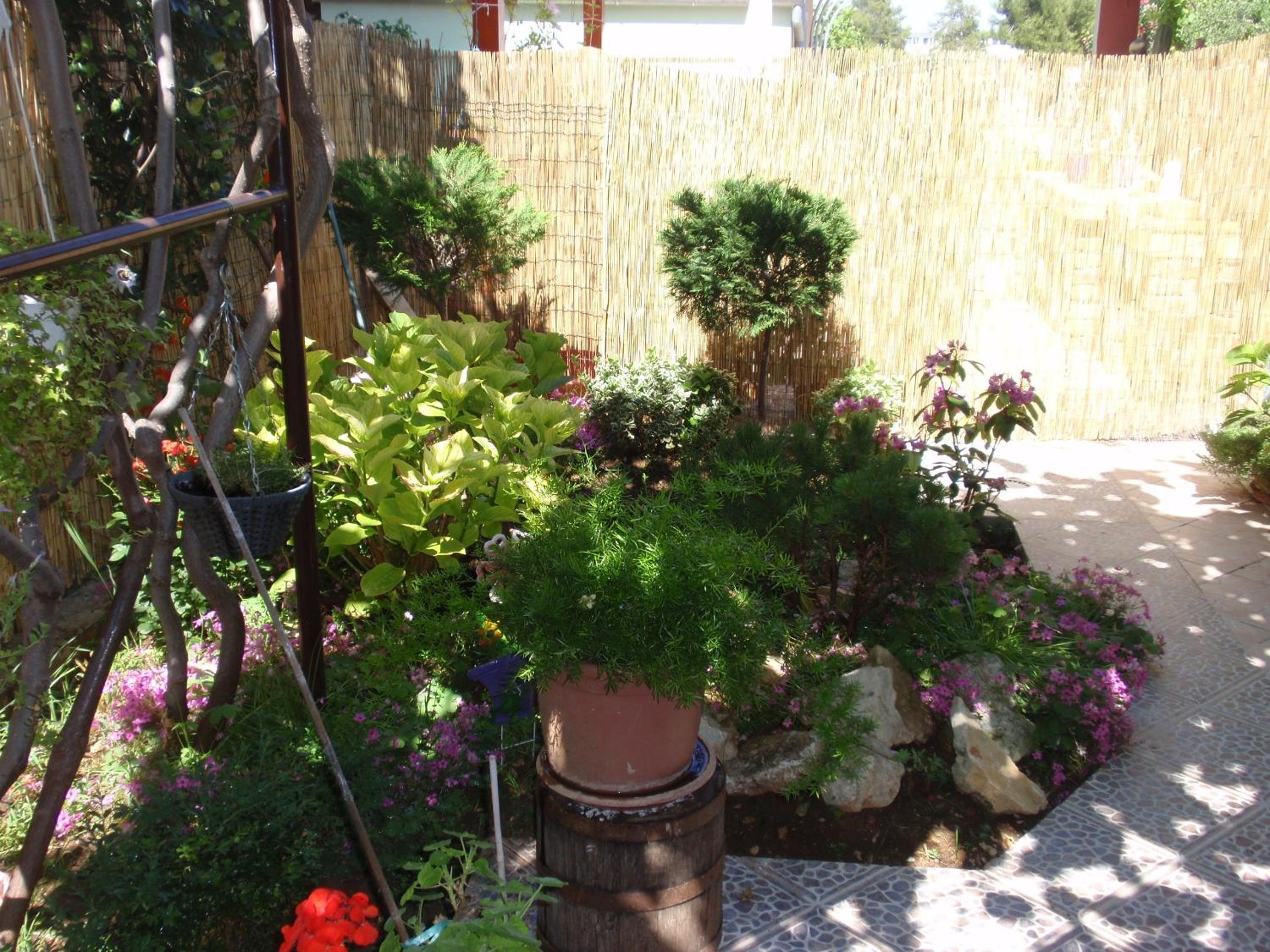 Photo 35