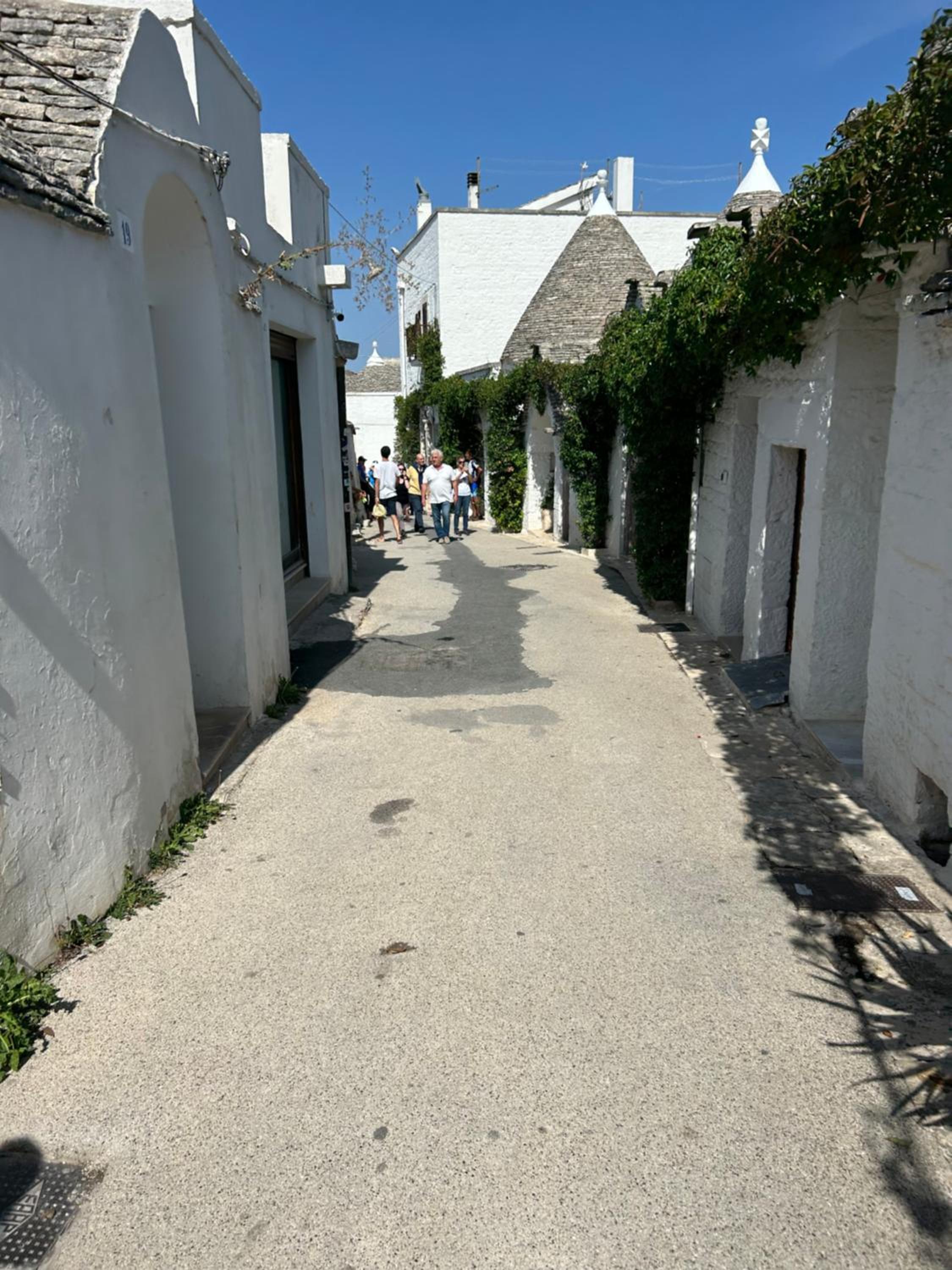 Photo 37