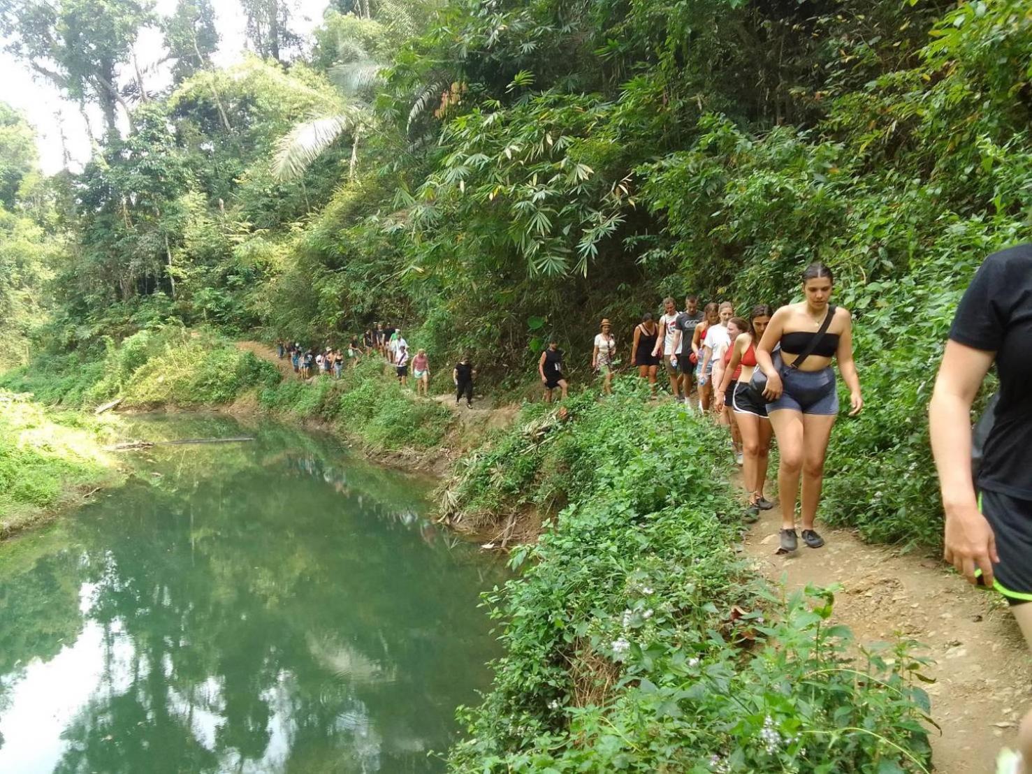 Khao Sok Inn Hostel