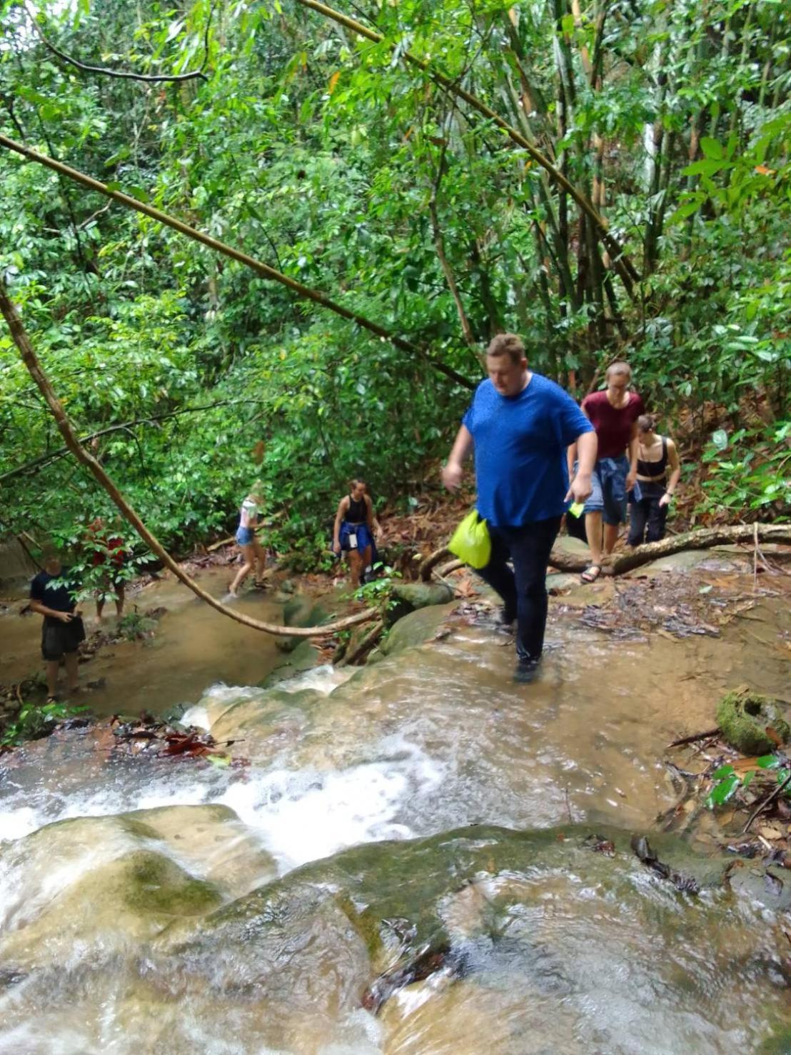 Khao Sok Inn Hostel