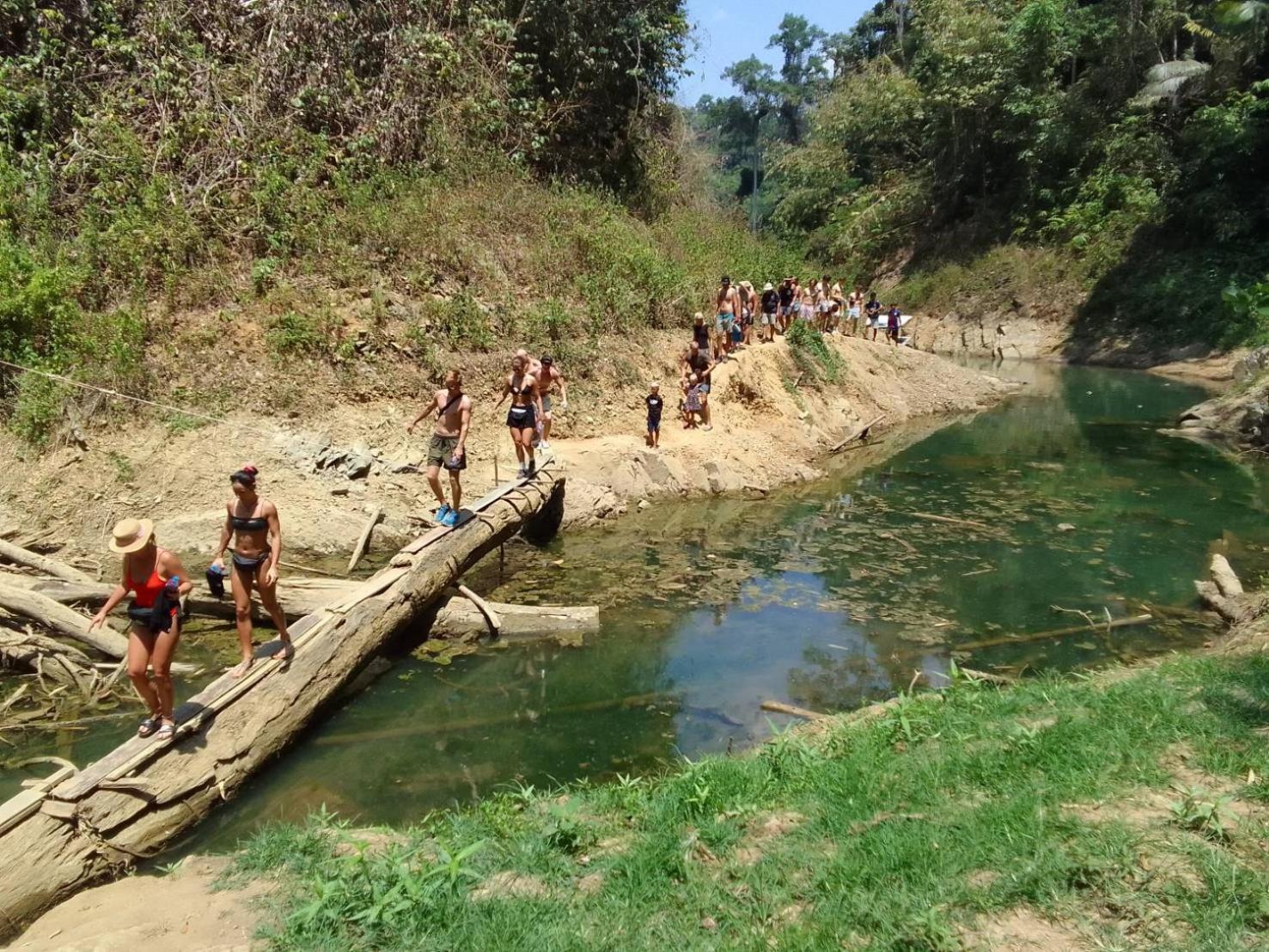 Khao Sok Inn Hostel