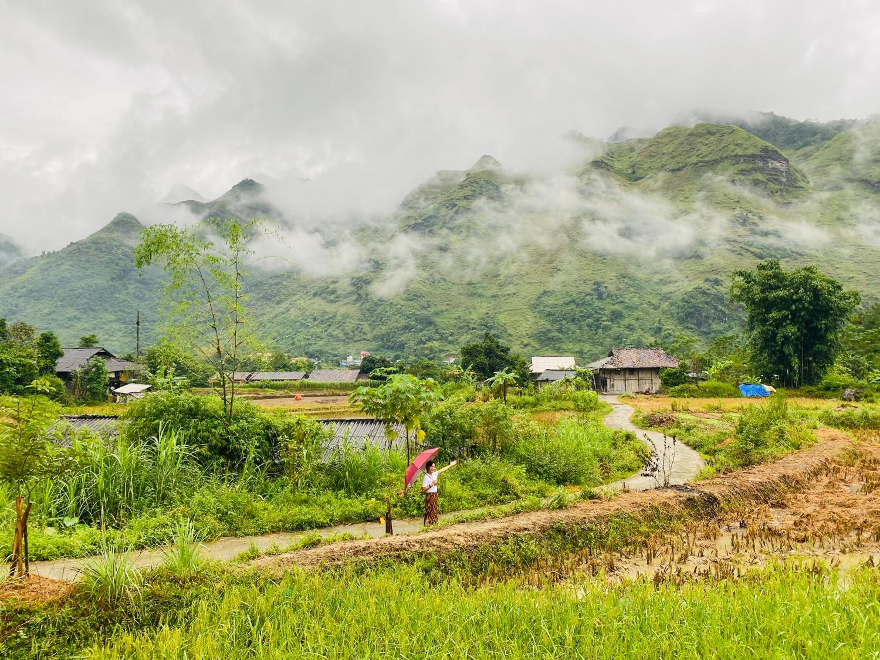 Du Gia Field View Homestay