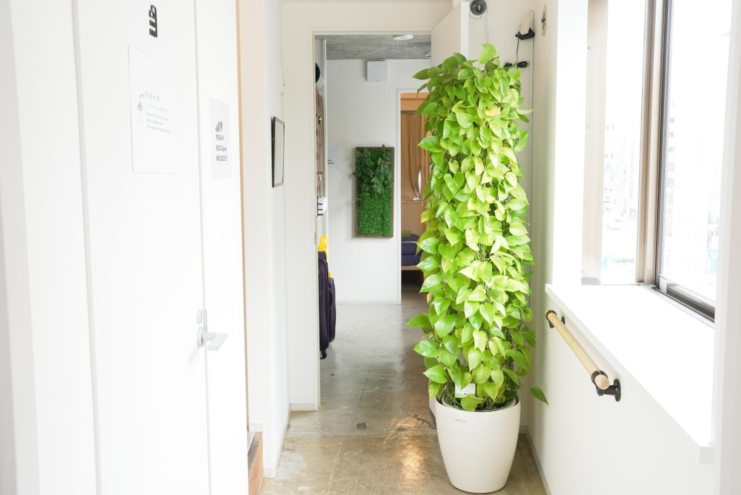 Hostel Lodging Tokyo Uguisudani