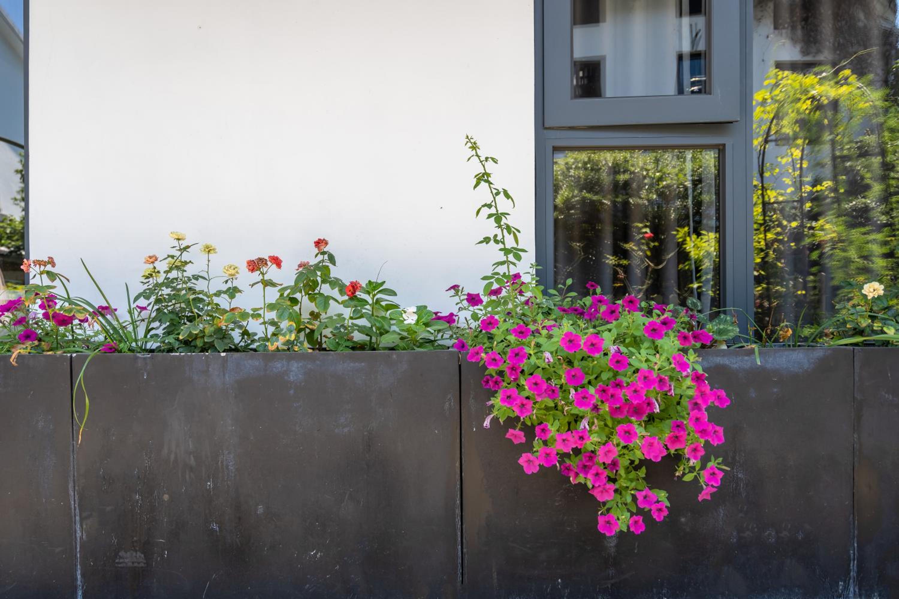 Hangzhou Ziwei Boutique Homestay