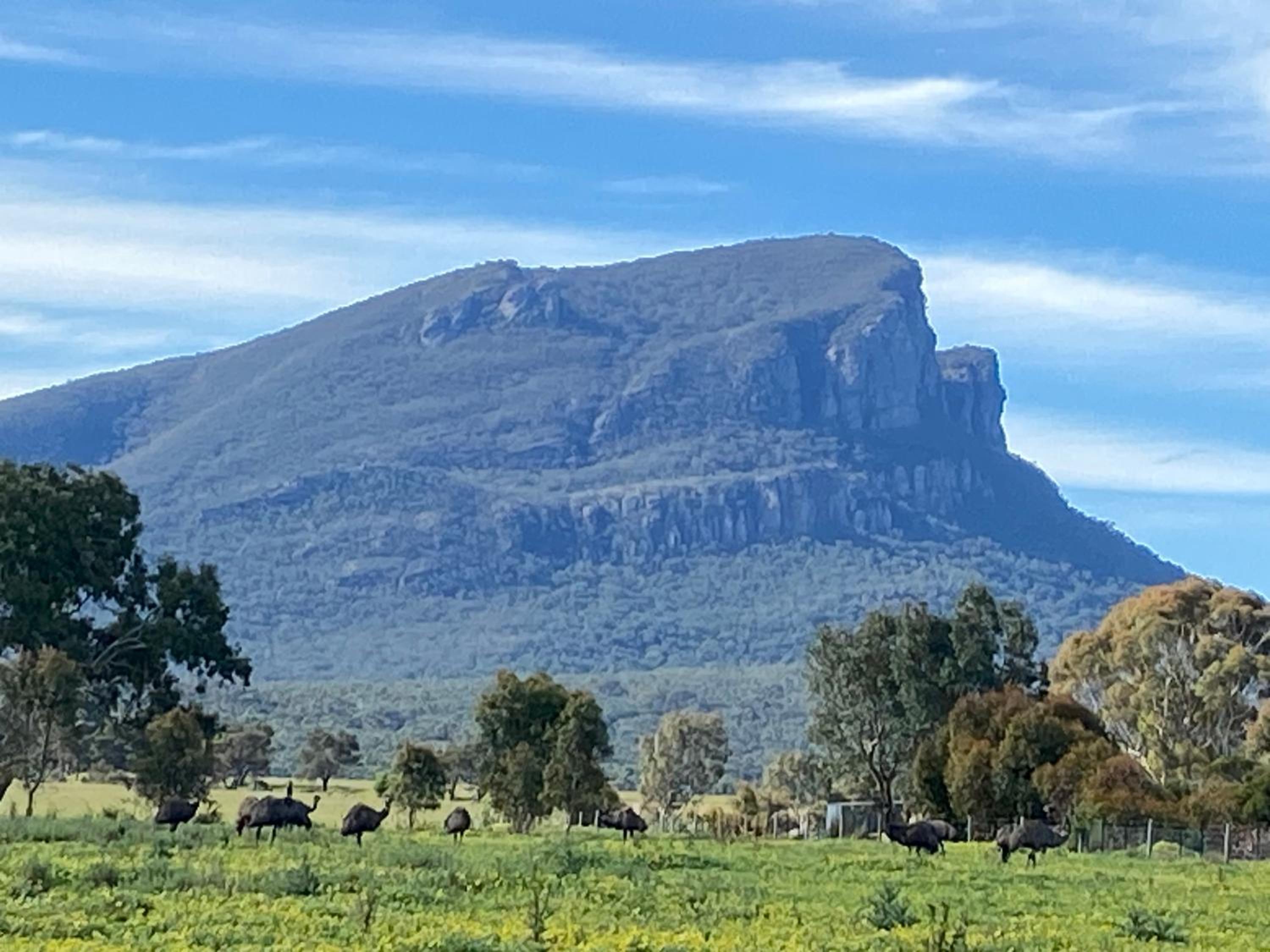 Peaks Trail Rest Dunkeld