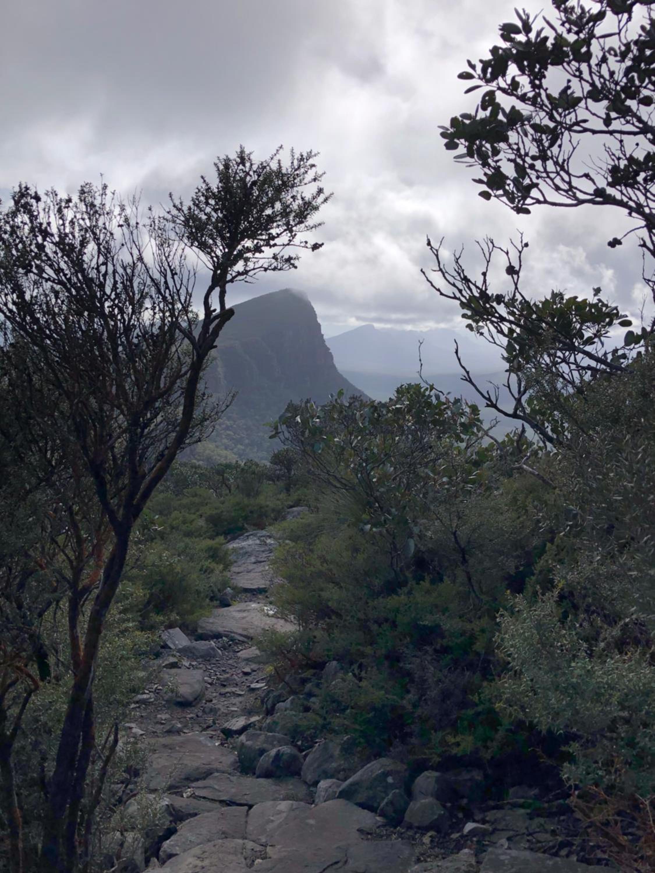 Peaks Trail Rest Dunkeld