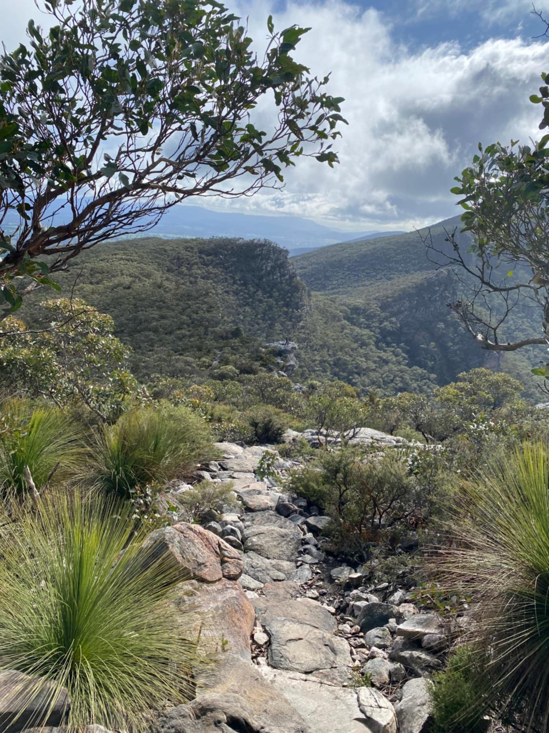 Peaks Trail Rest Dunkeld