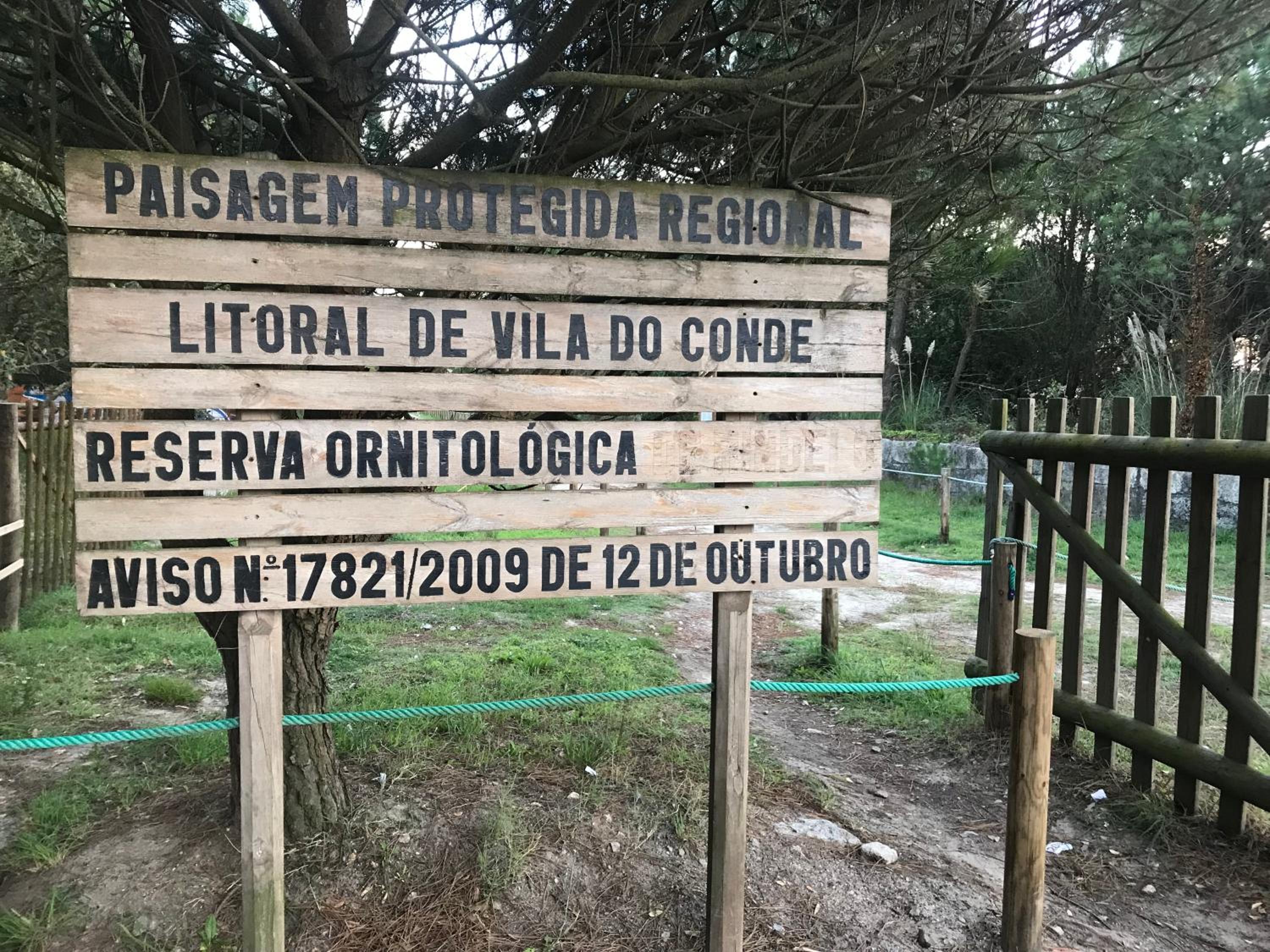 Árvore Cozy com Jardim view 4