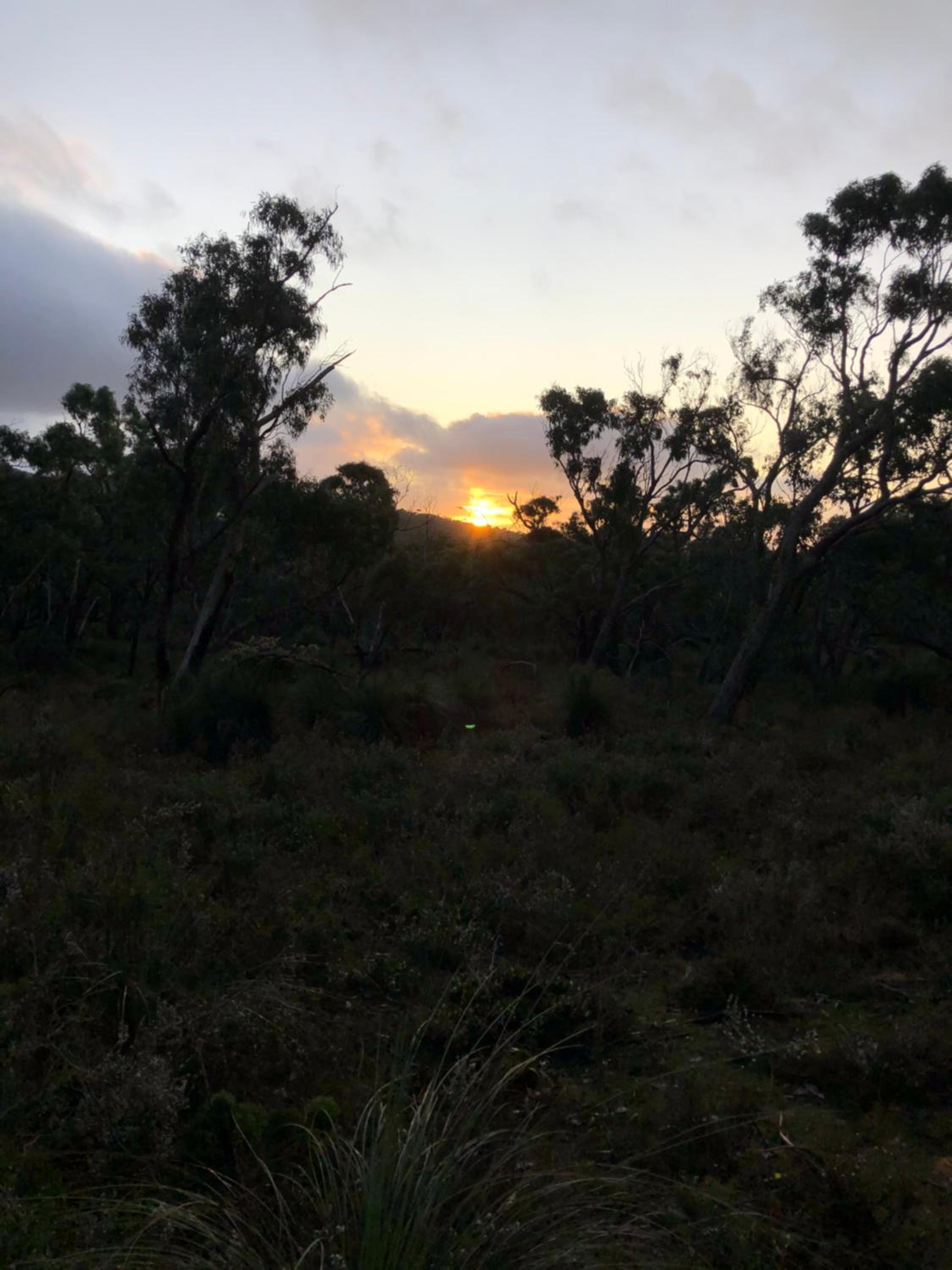 Peaks Trail Rest Dunkeld