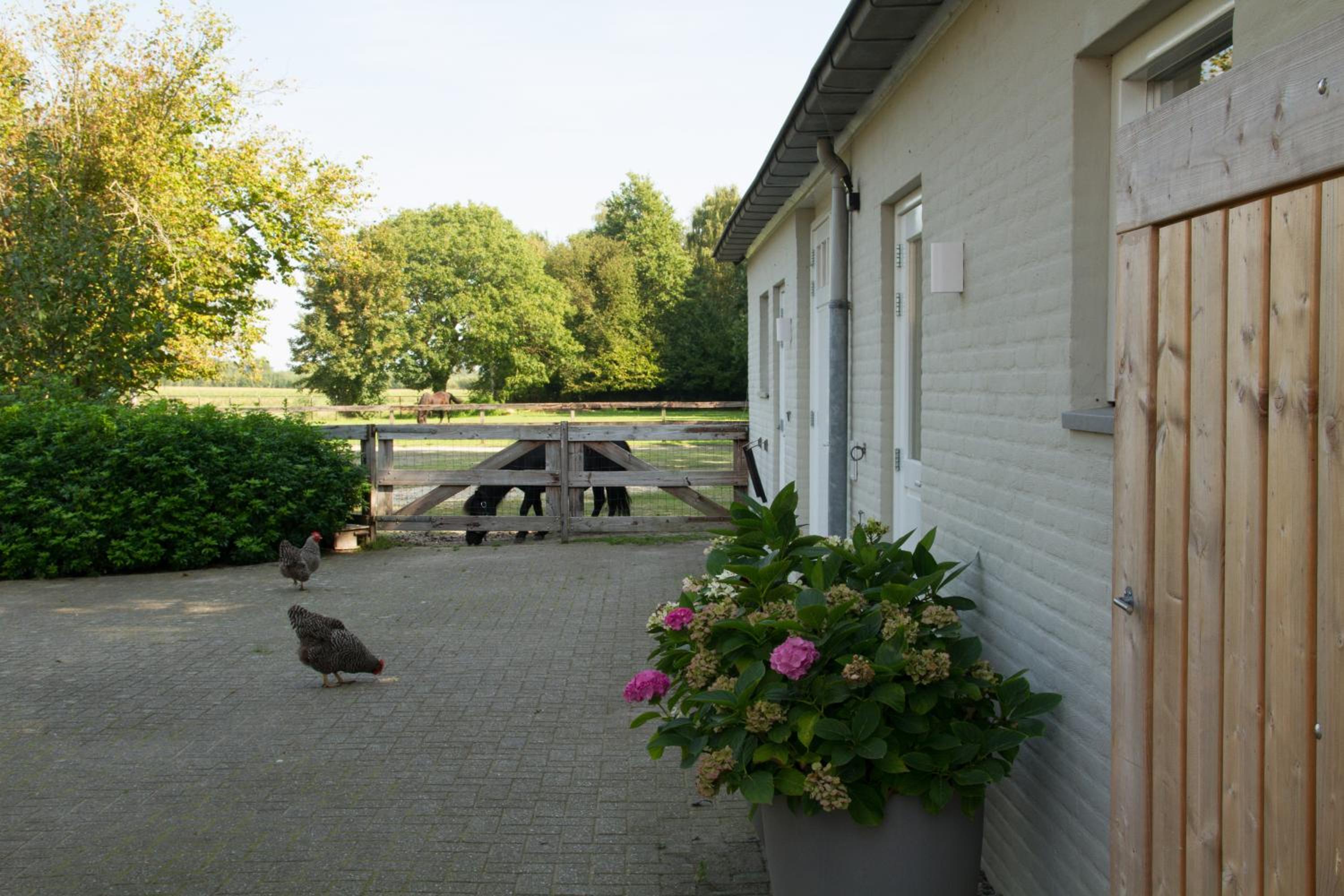 Het Rooversnest