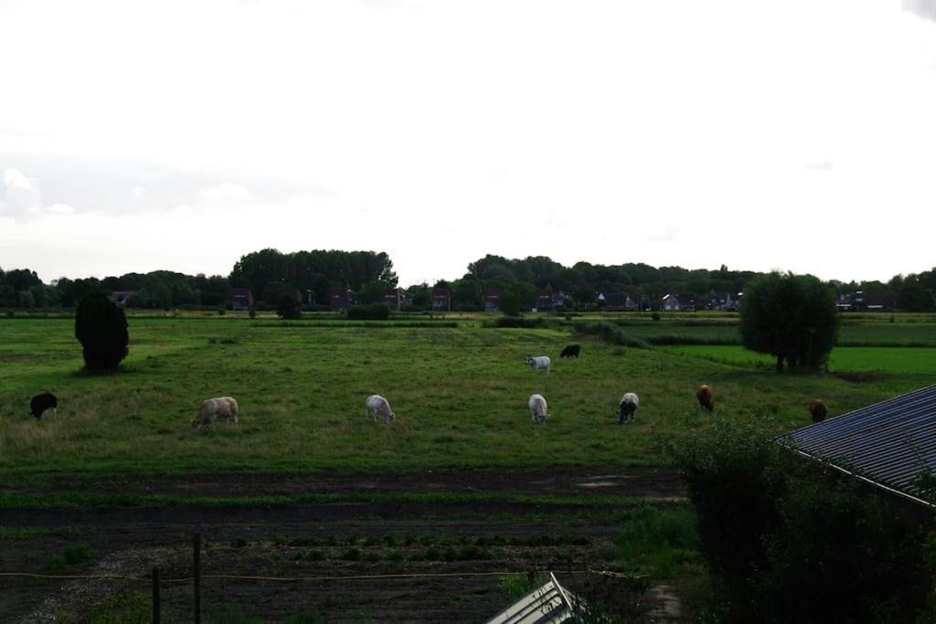 Photo 28