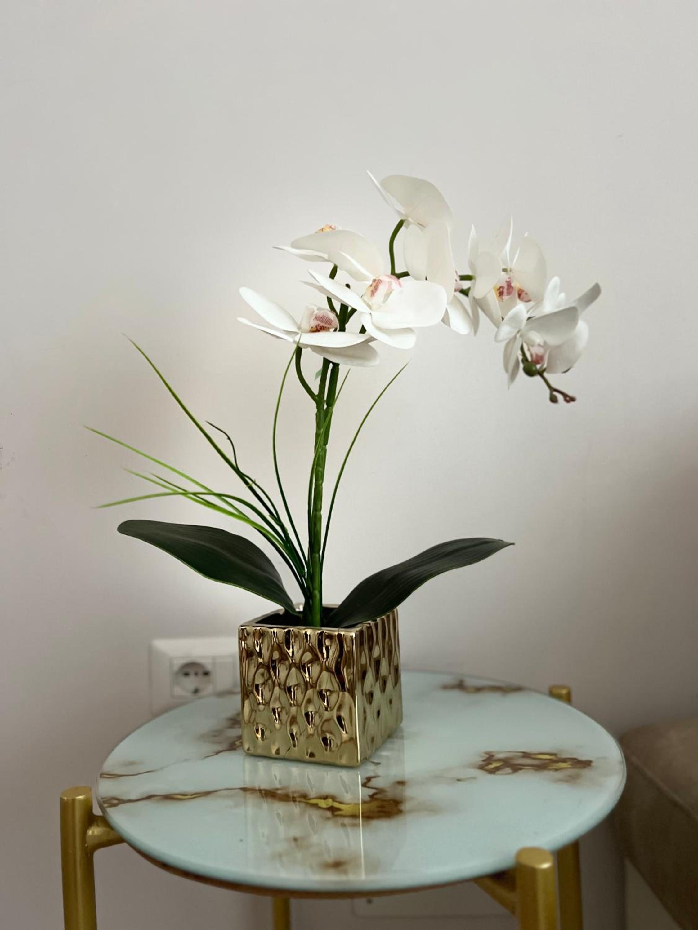 Experience New Bazaar Apartment 02