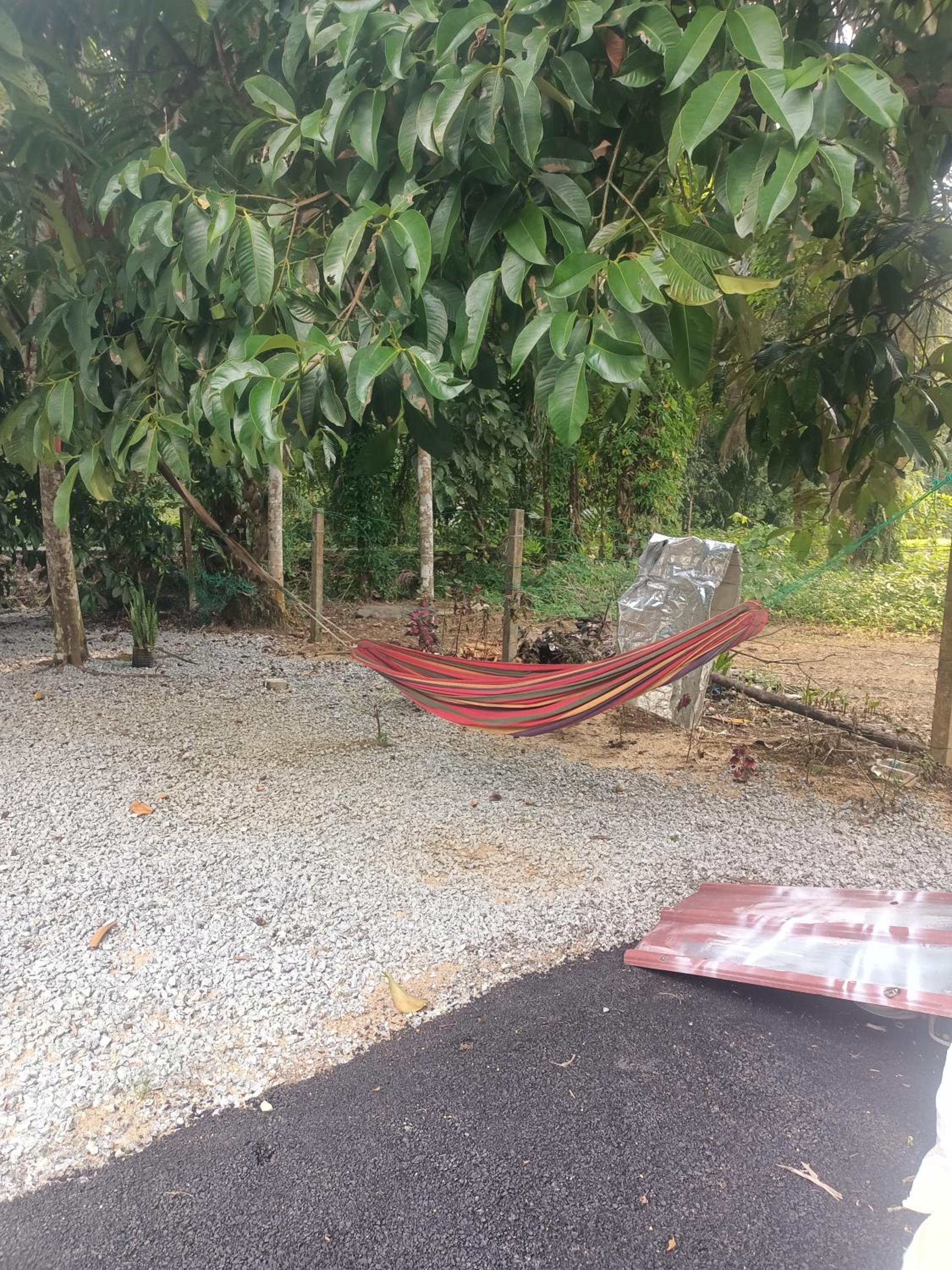Cp homestay photo 3