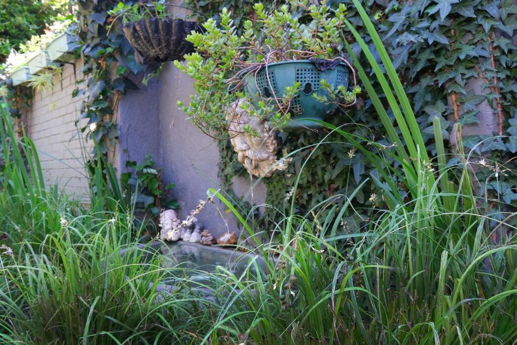 Sun Garden Cottage