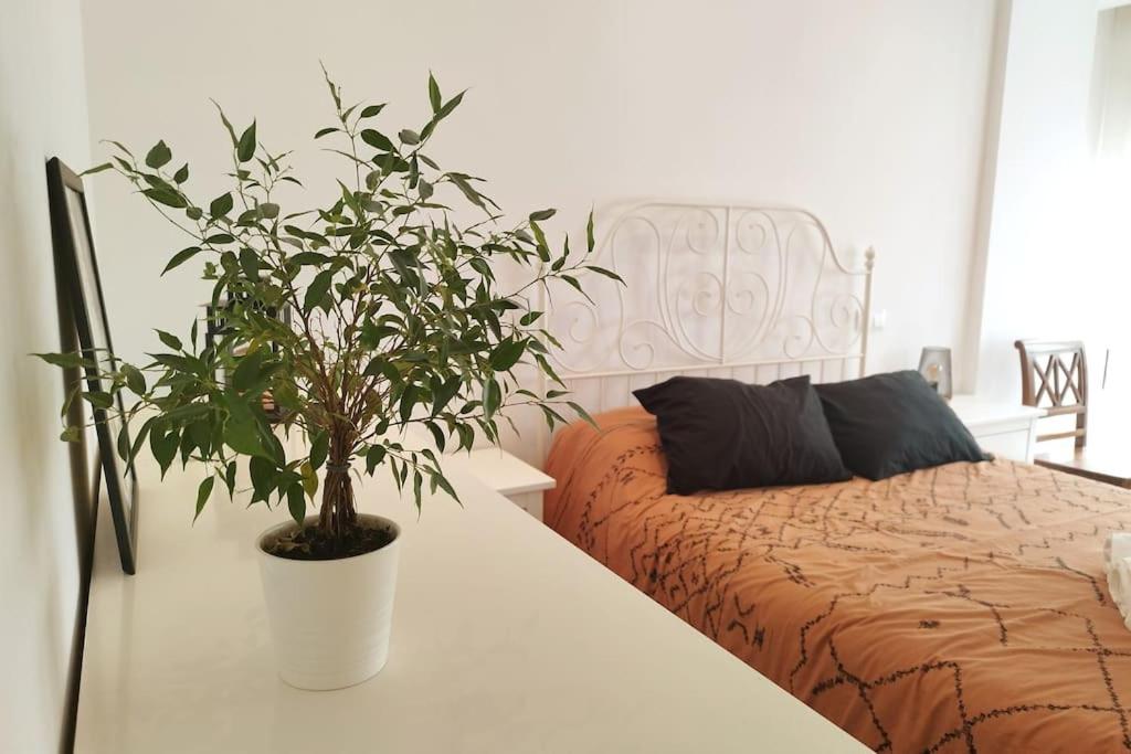 gran piso luminoso en el centro de leon