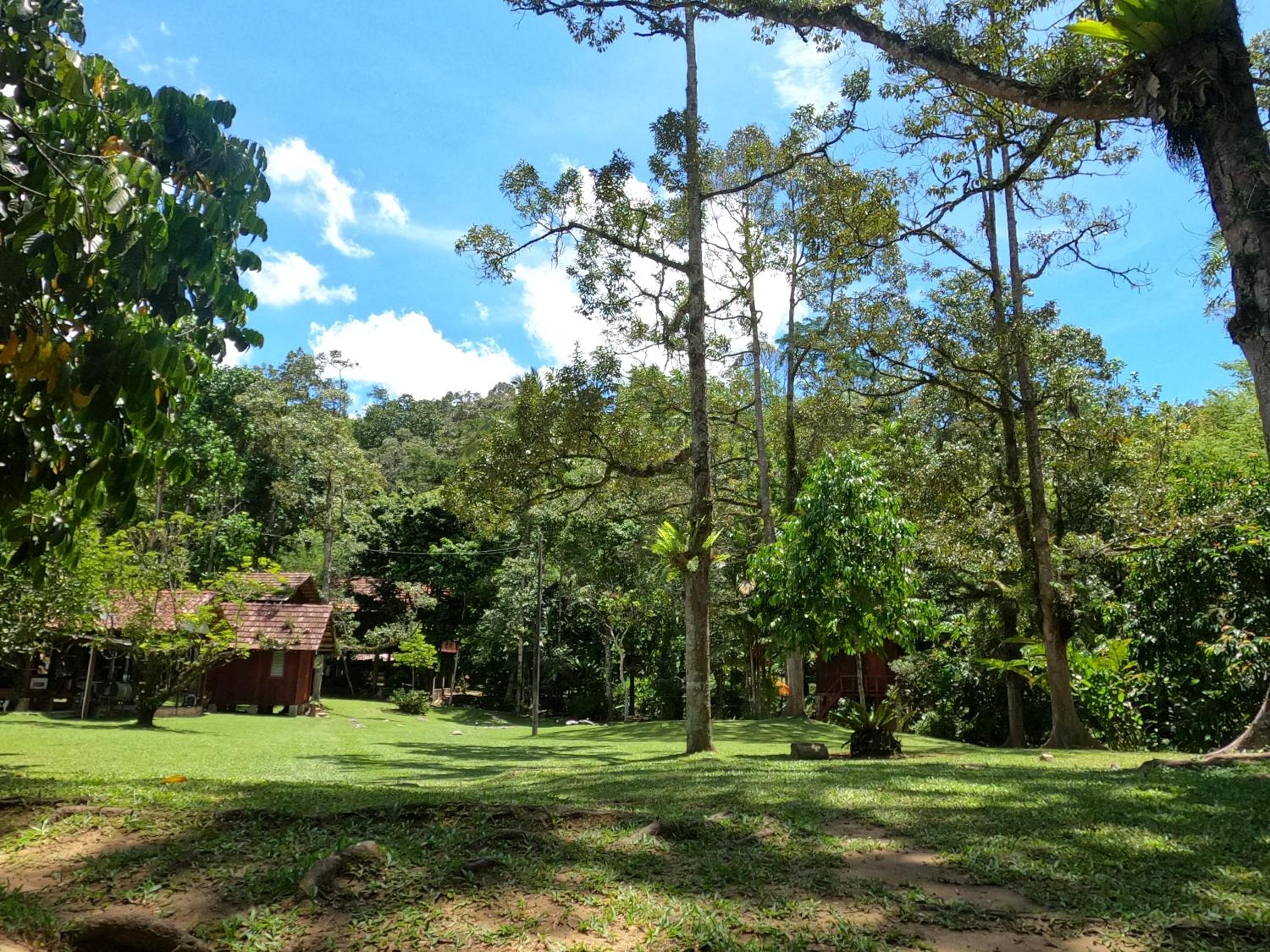 Jungle Zen Janda Baik Campsite photo 1