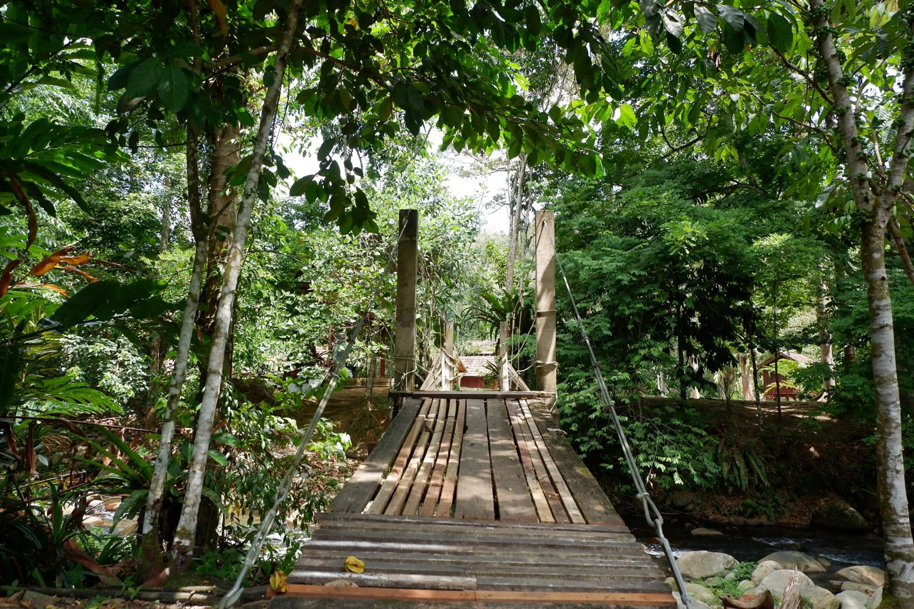 Jungle Zen Janda Baik Campsite photo 7
