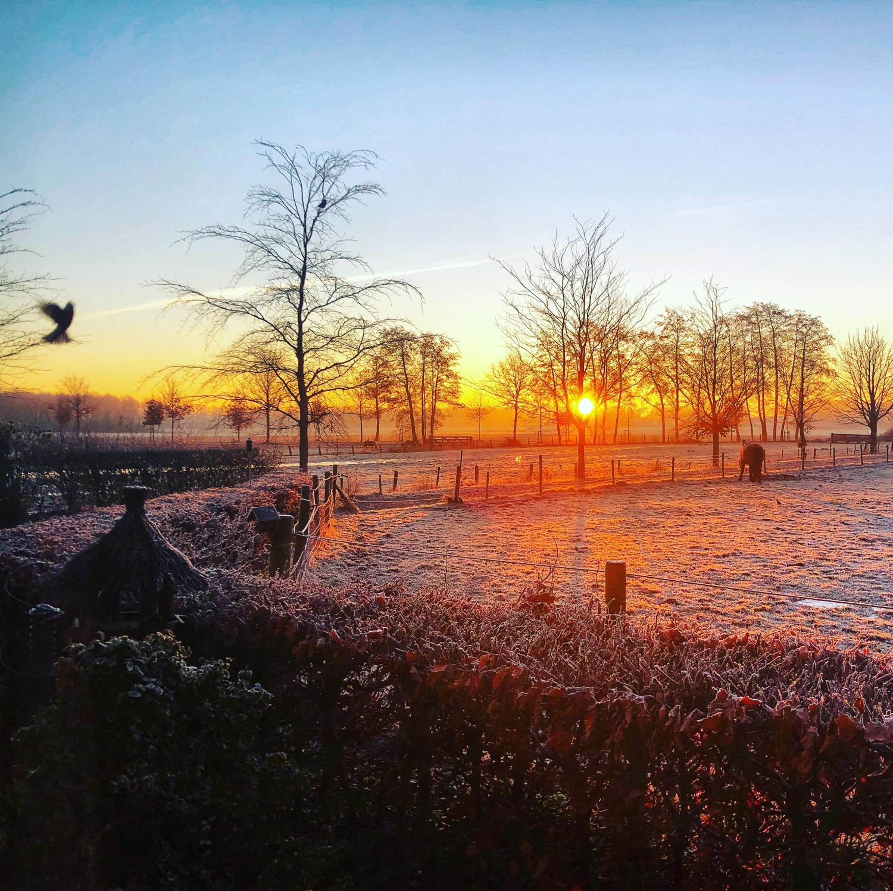 B&B Zandhuizen