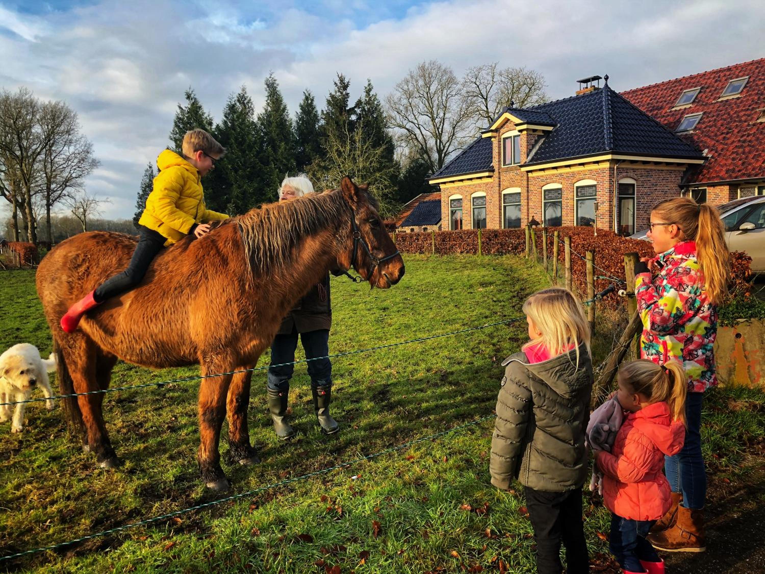 B&B Zandhuizen