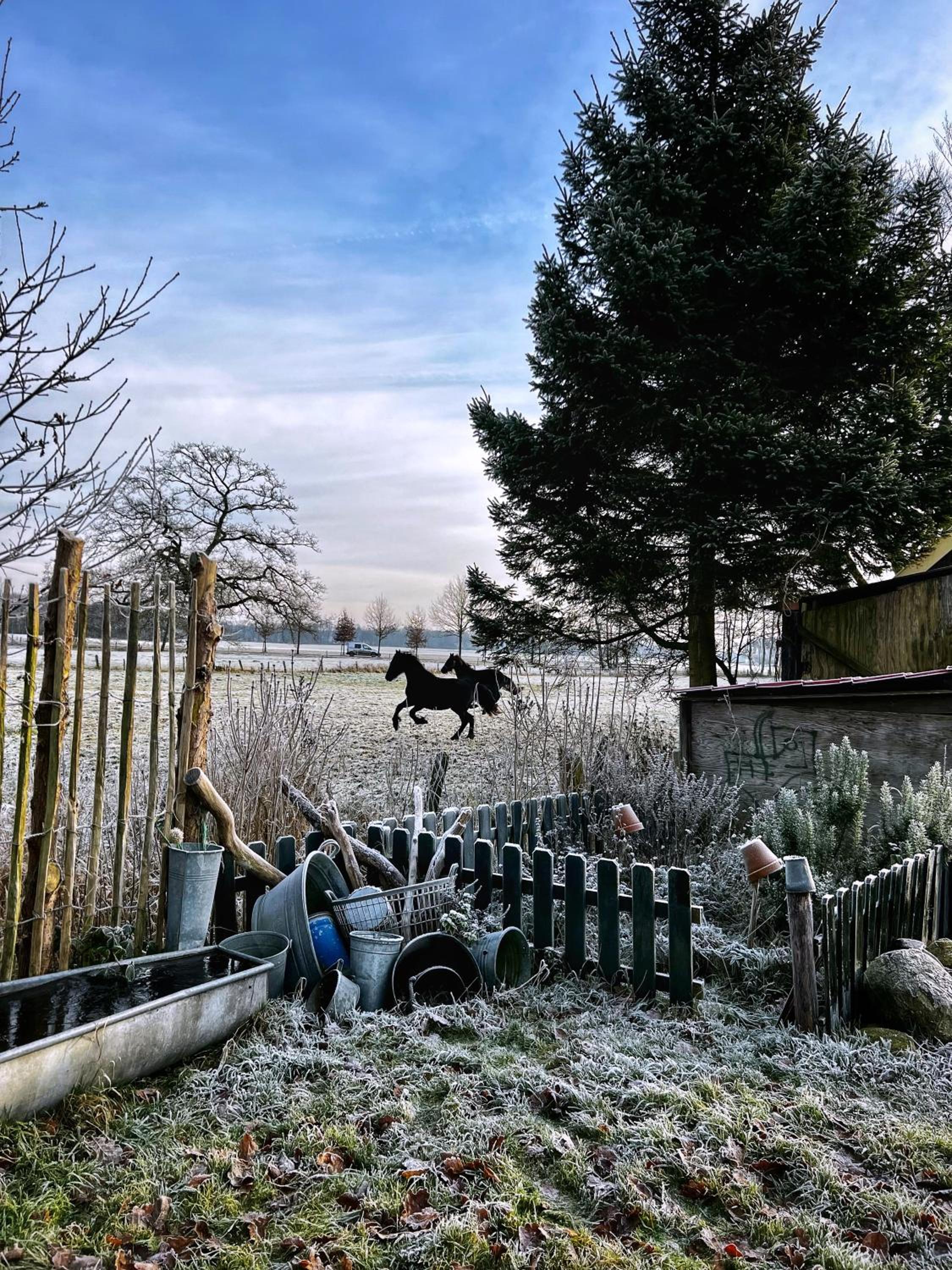 B&B Zandhuizen