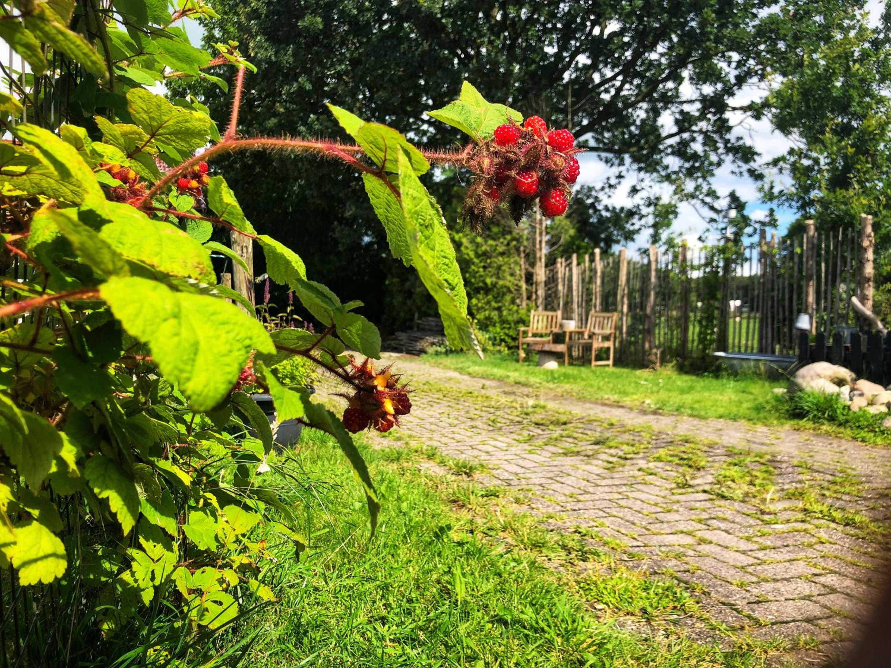 B&B Zandhuizen