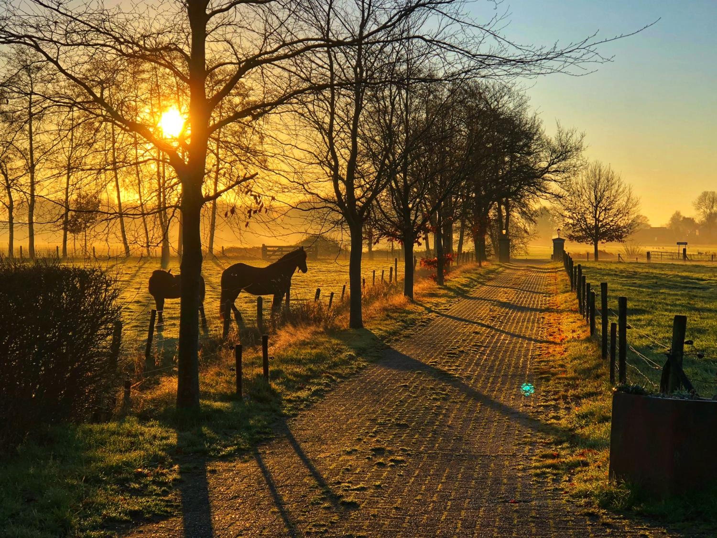 B&B Zandhuizen