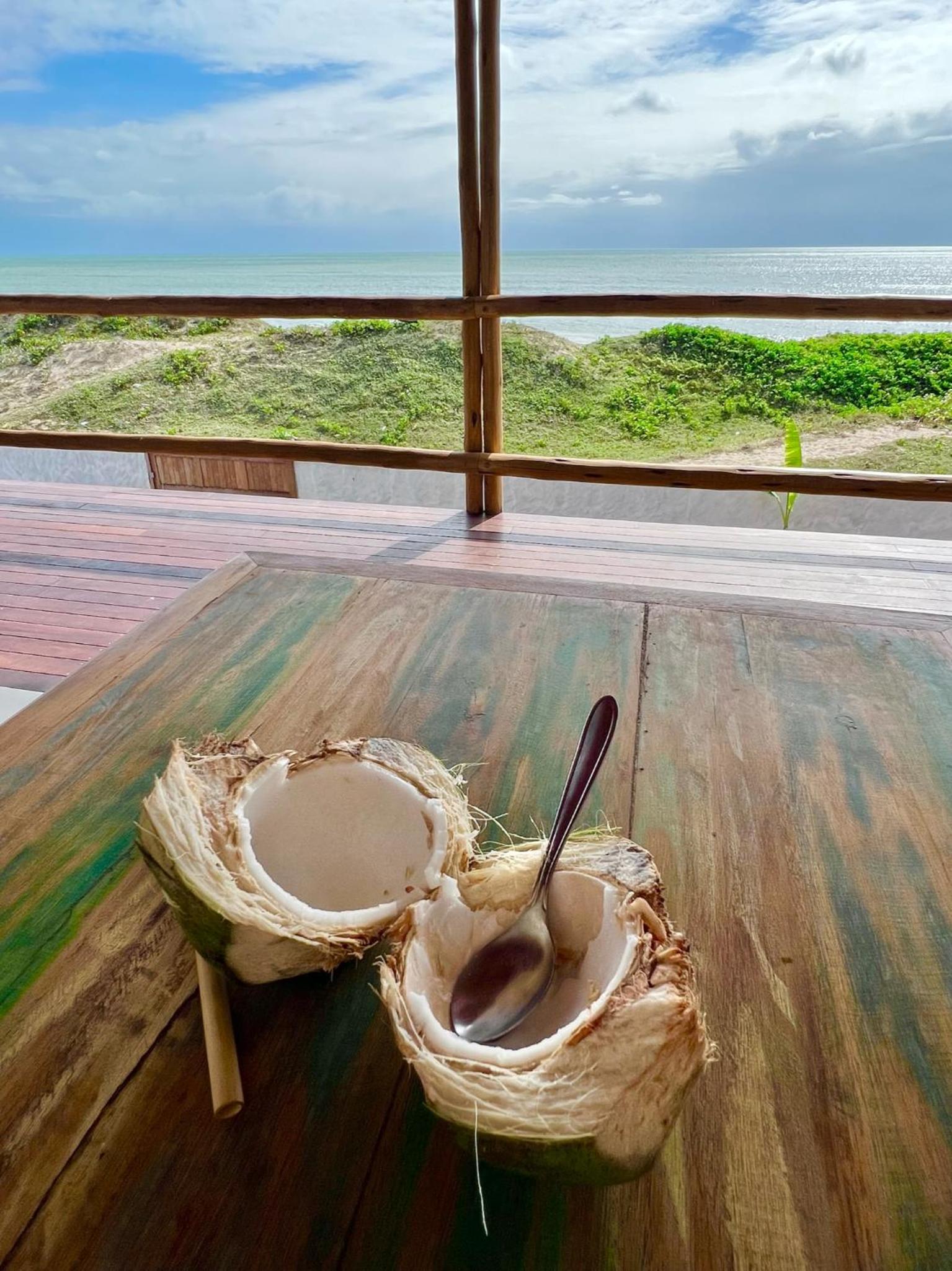MONKEY BEACH HOUSE BRAZIL