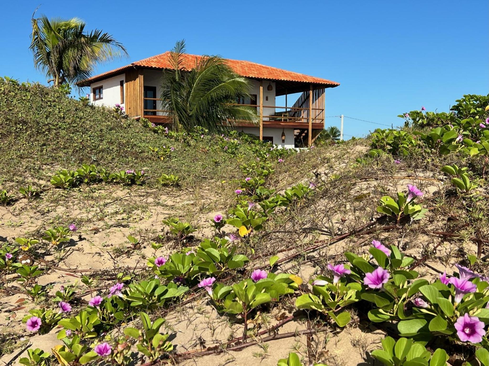 MONKEY BEACH HOUSE BRAZIL