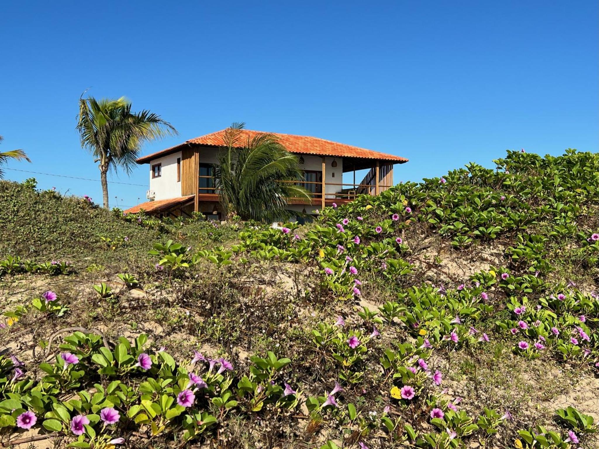 MONKEY BEACH HOUSE BRAZIL