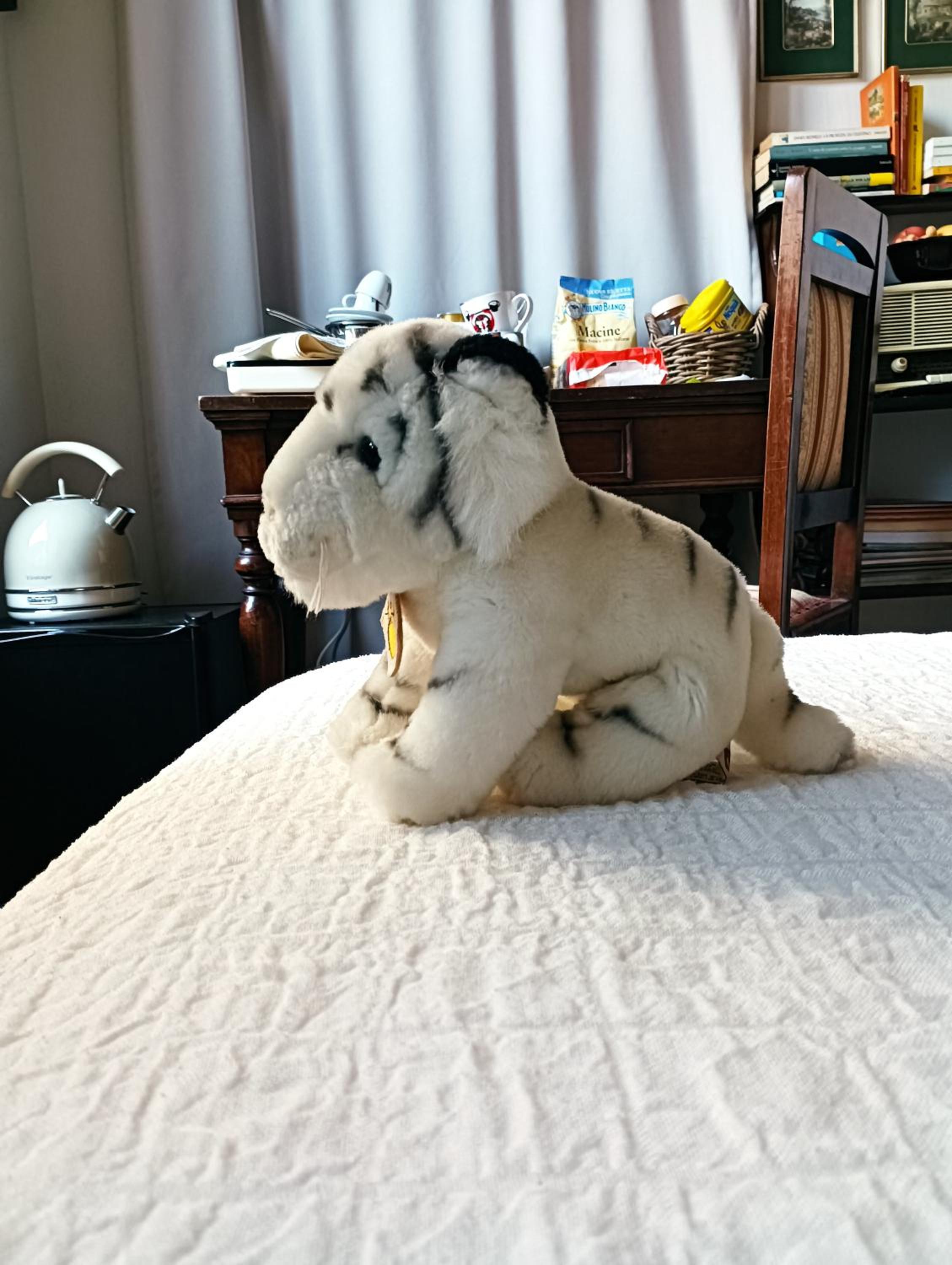 Photo 18