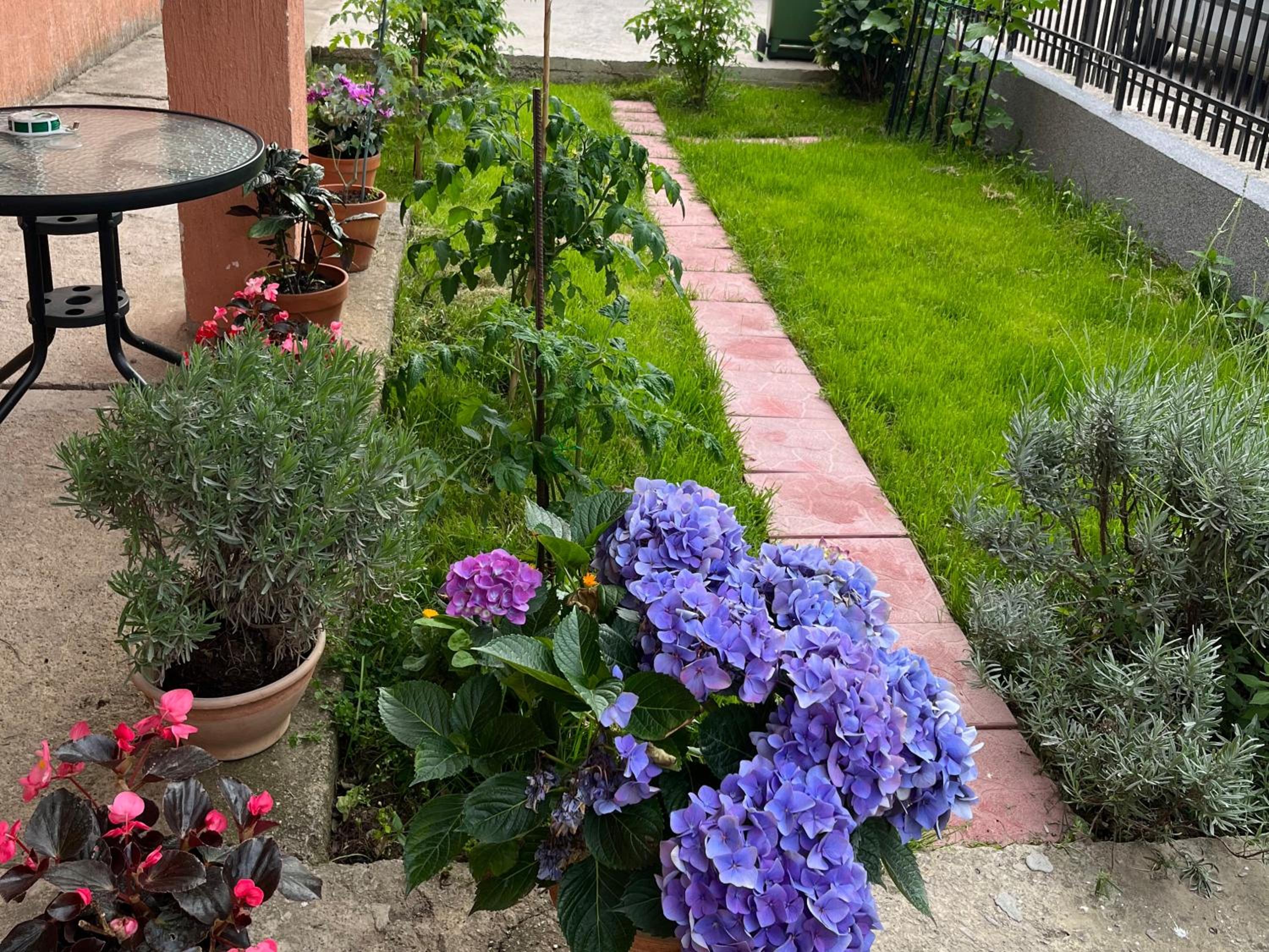 Photo 6