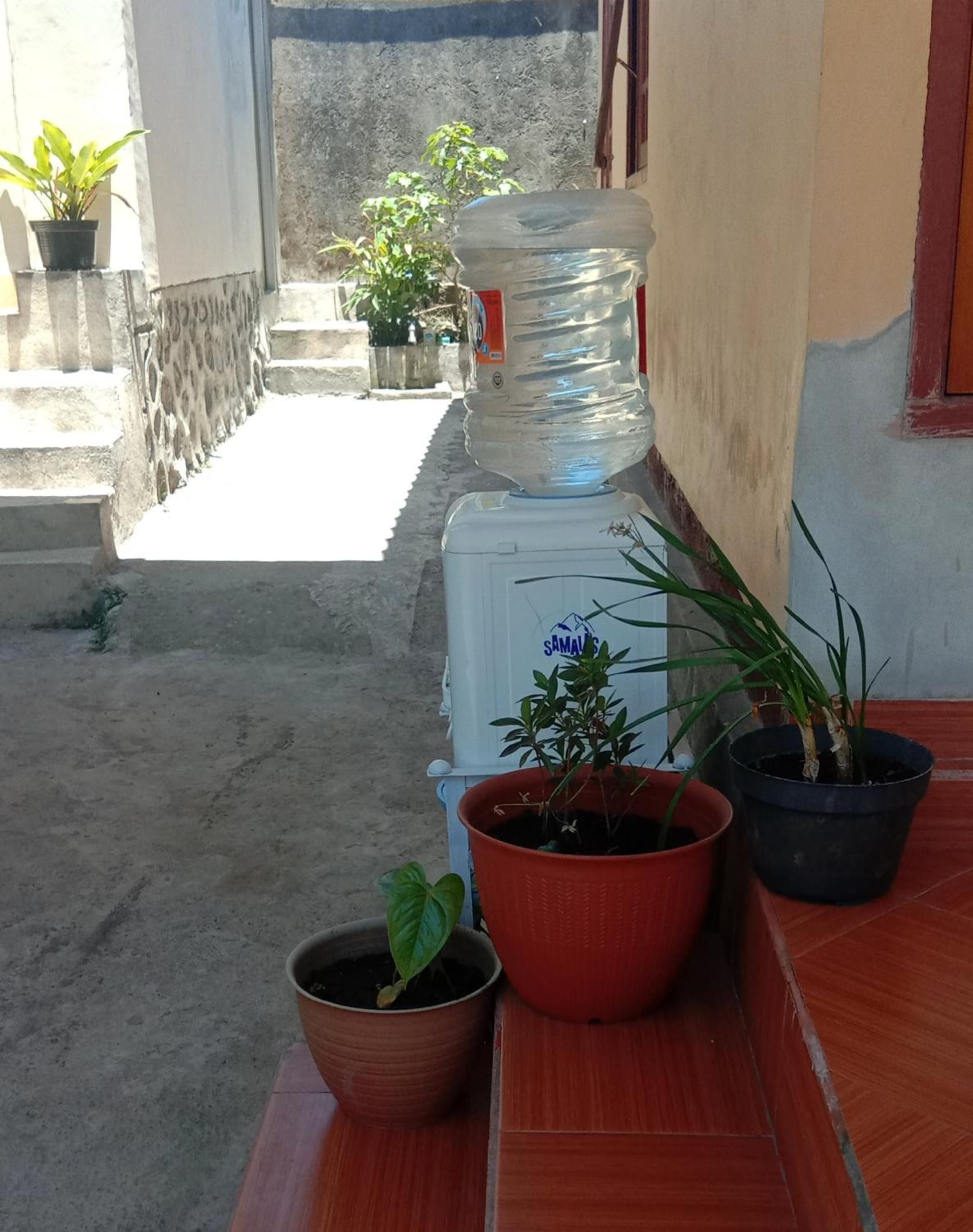 Photo 8