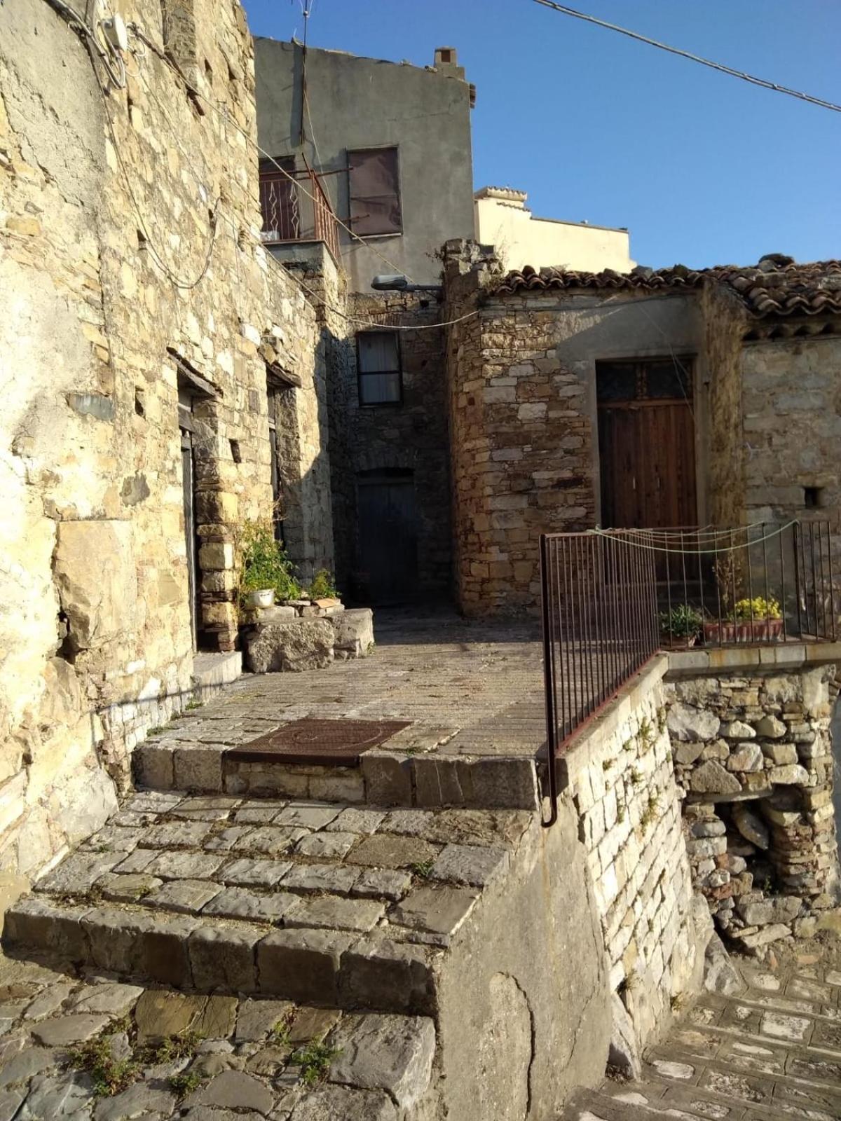 Photo 41
