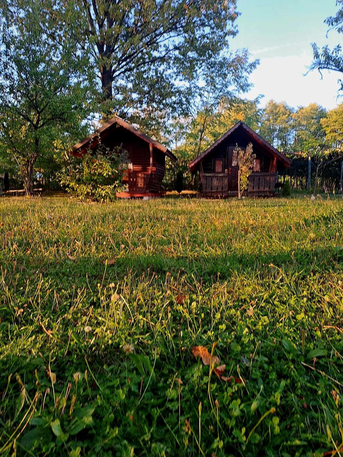 Pensiunea Casa Noastra view 5