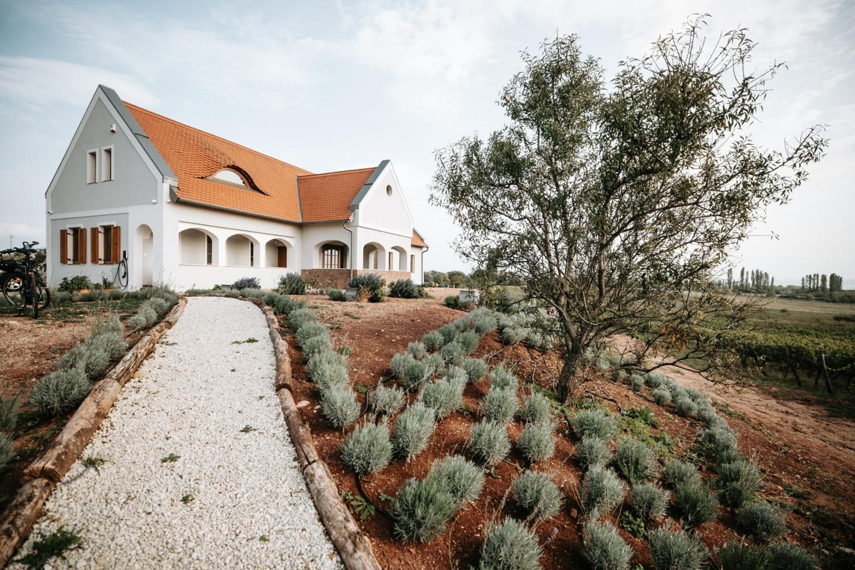 PALO Borbirtok - Bed and Wine view 2