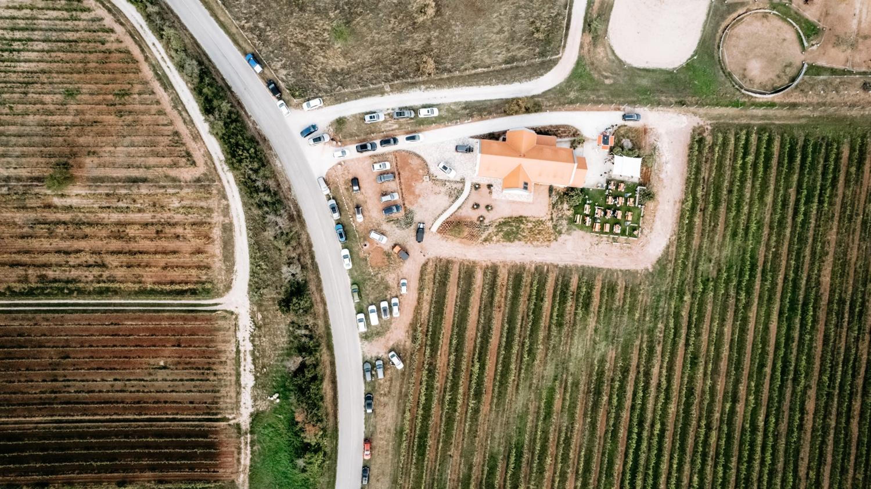 PALO Borbirtok - Bed and Wine view 5