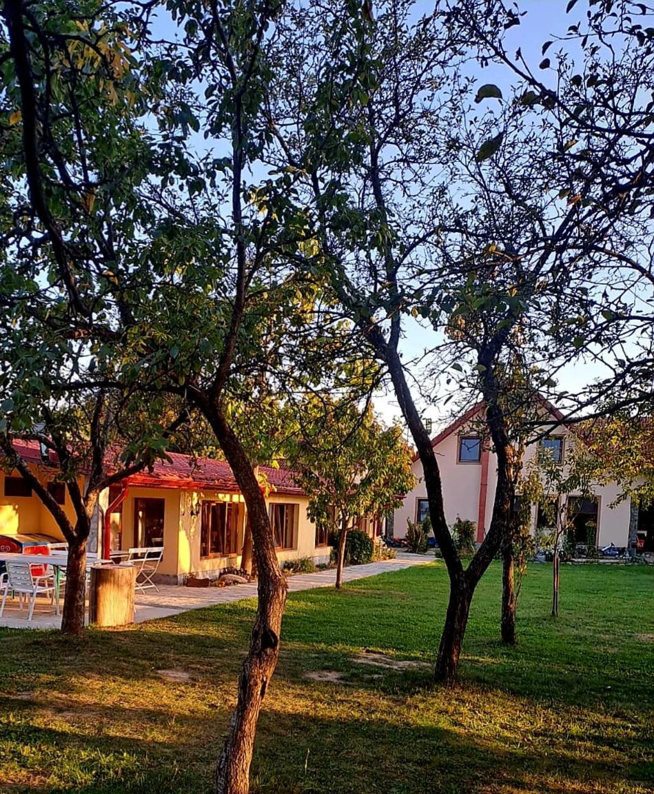 Pensiunea Casa Noastra view 4