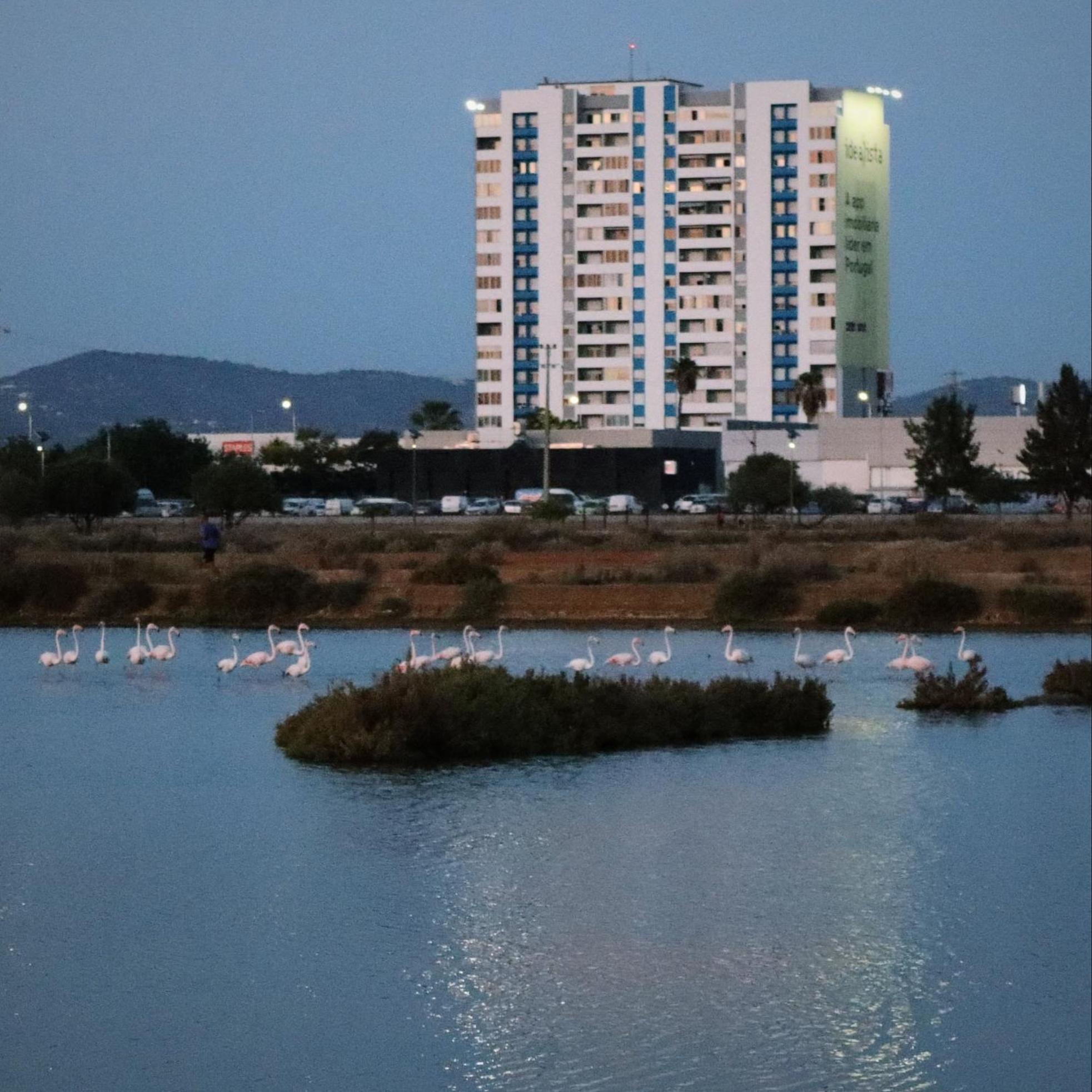 Sea View urban apartment