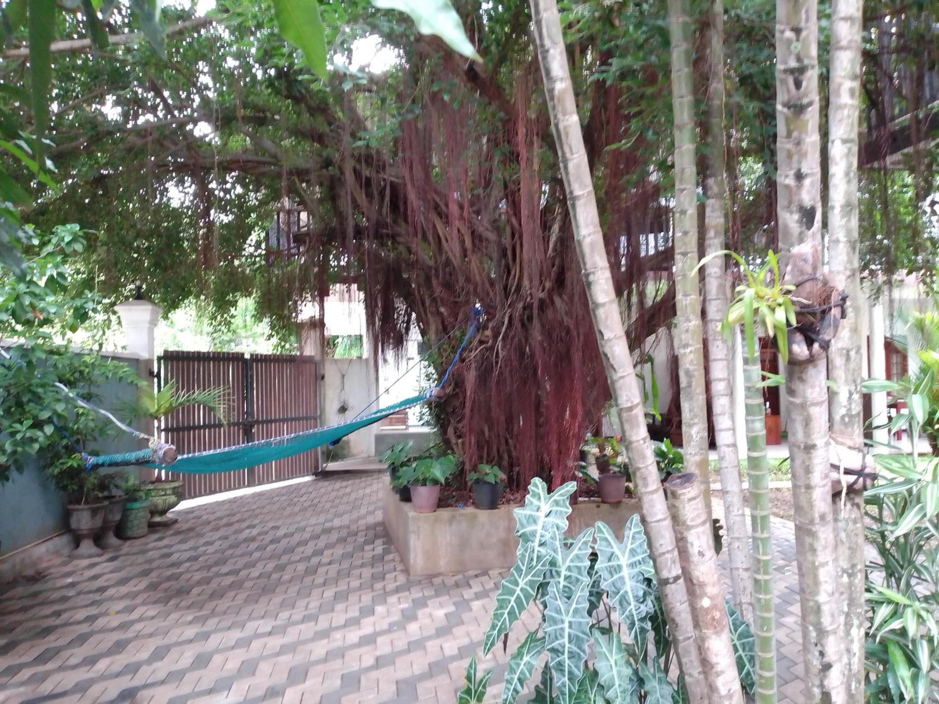 Jungle Look safari House view 5