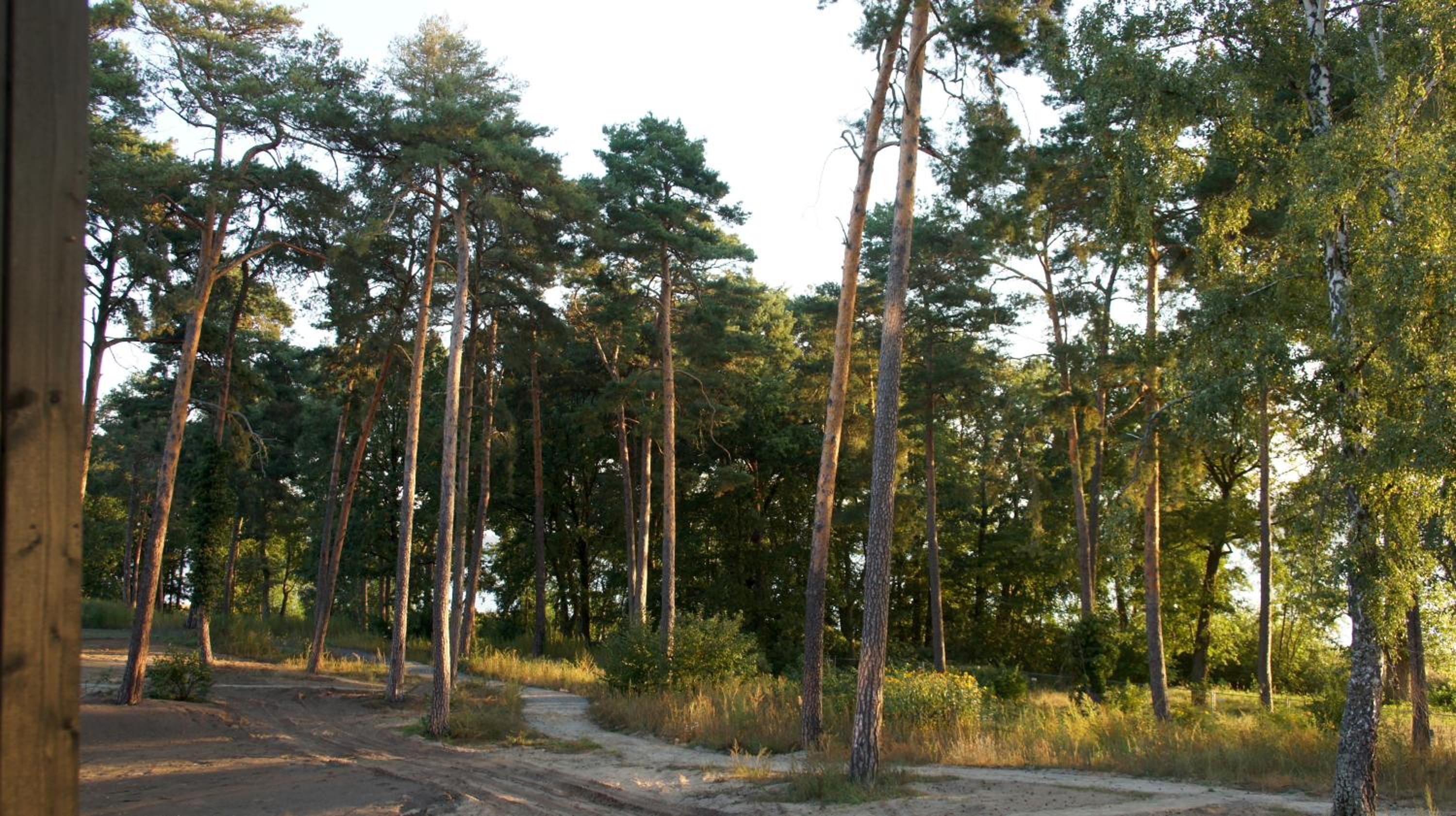 Marina Maisonette Seeblick mit Pool und Sauna