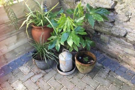 Photo 16